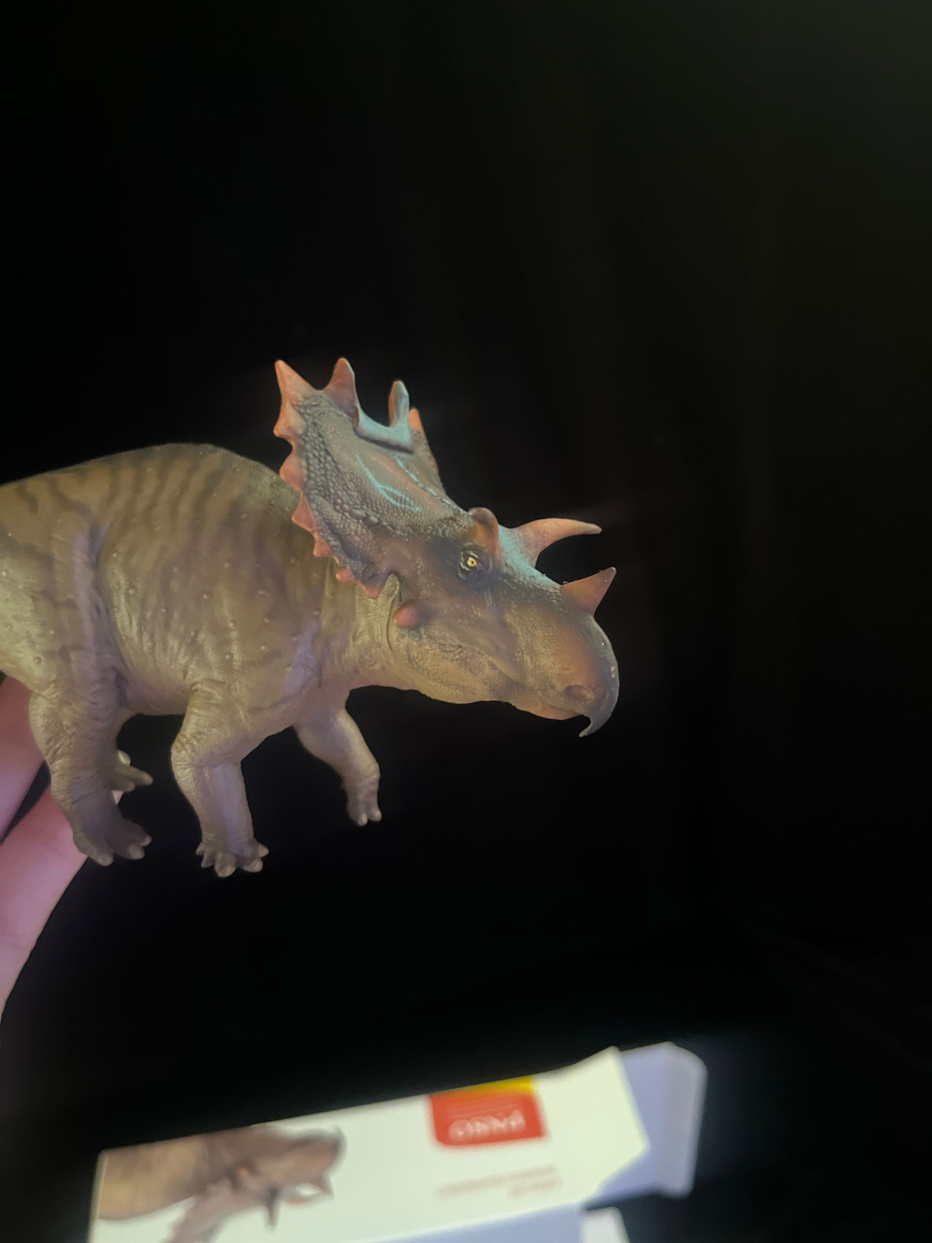 確認専用URL 確認専用URL