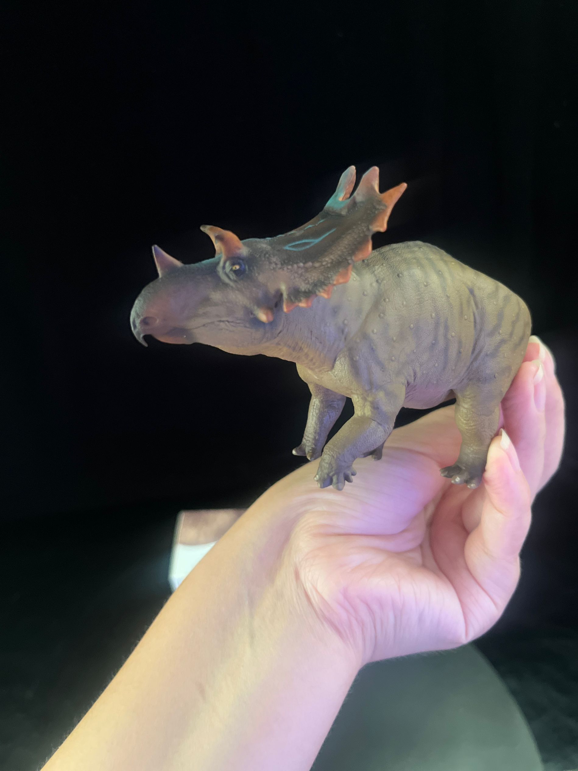 確認専用URL 確認専用URL