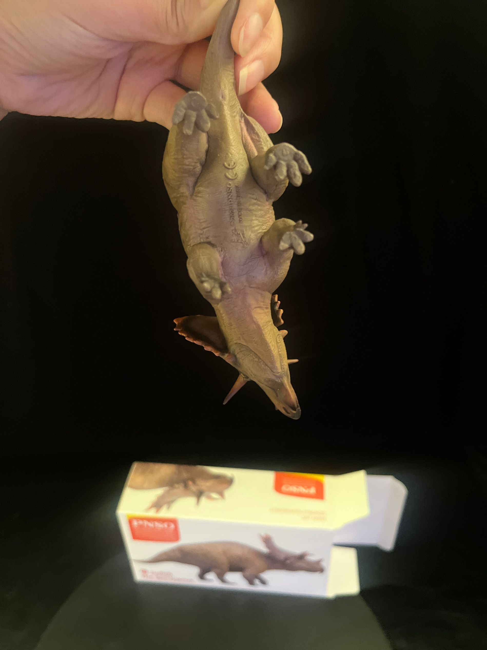 確認専用URL 確認専用URL