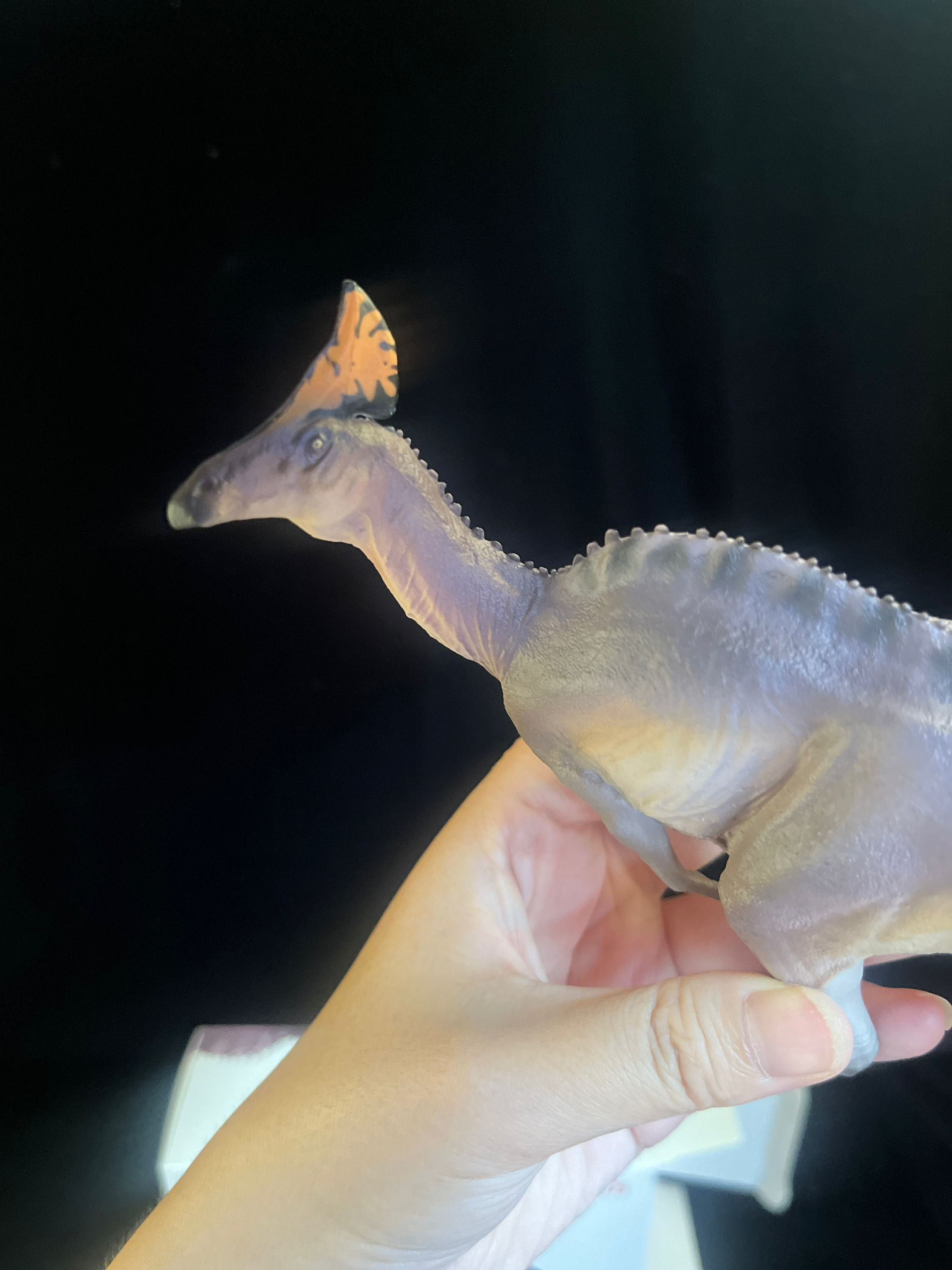 確認専用URL 確認専用URL