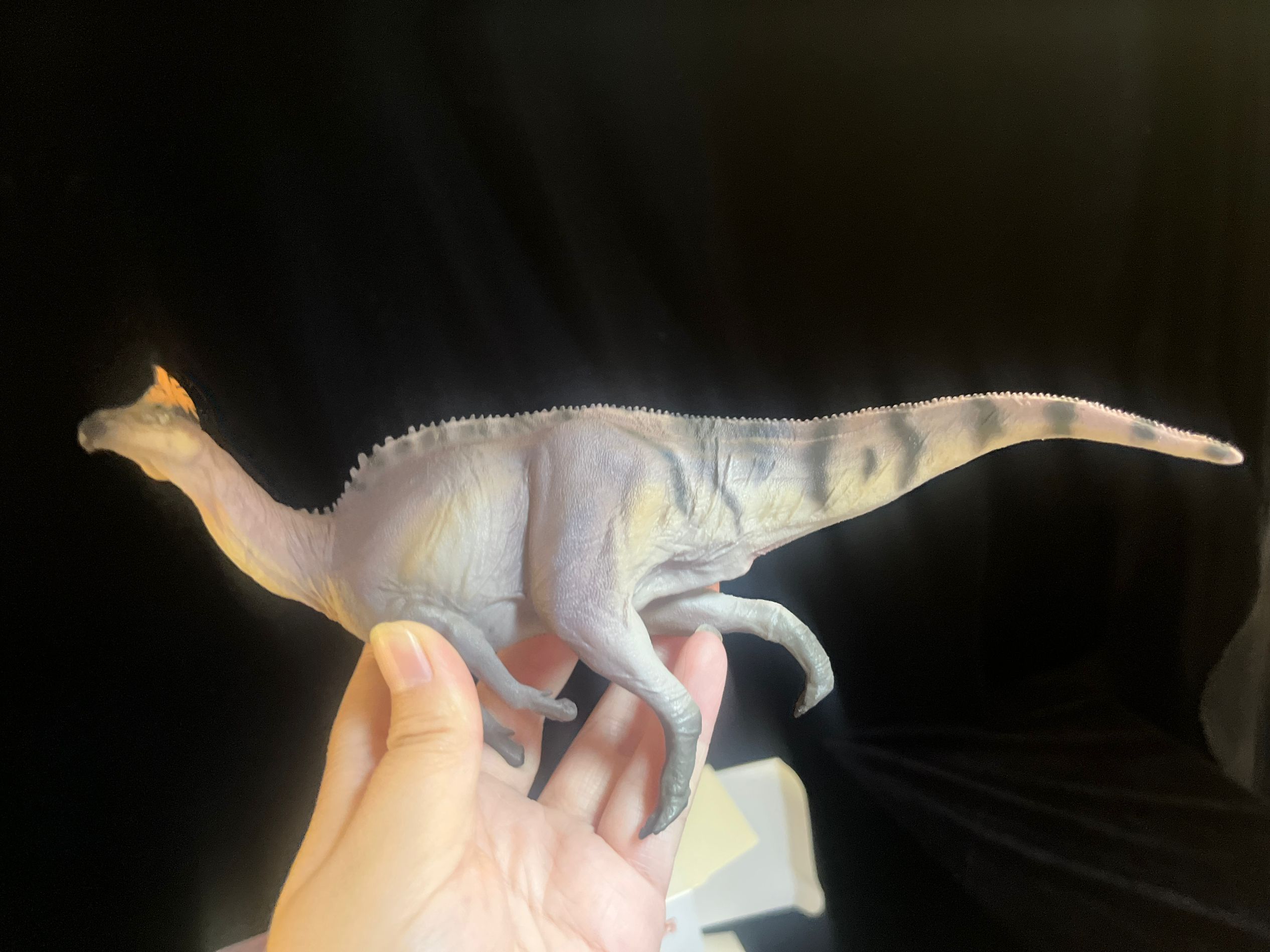 確認専用URL 確認専用URL