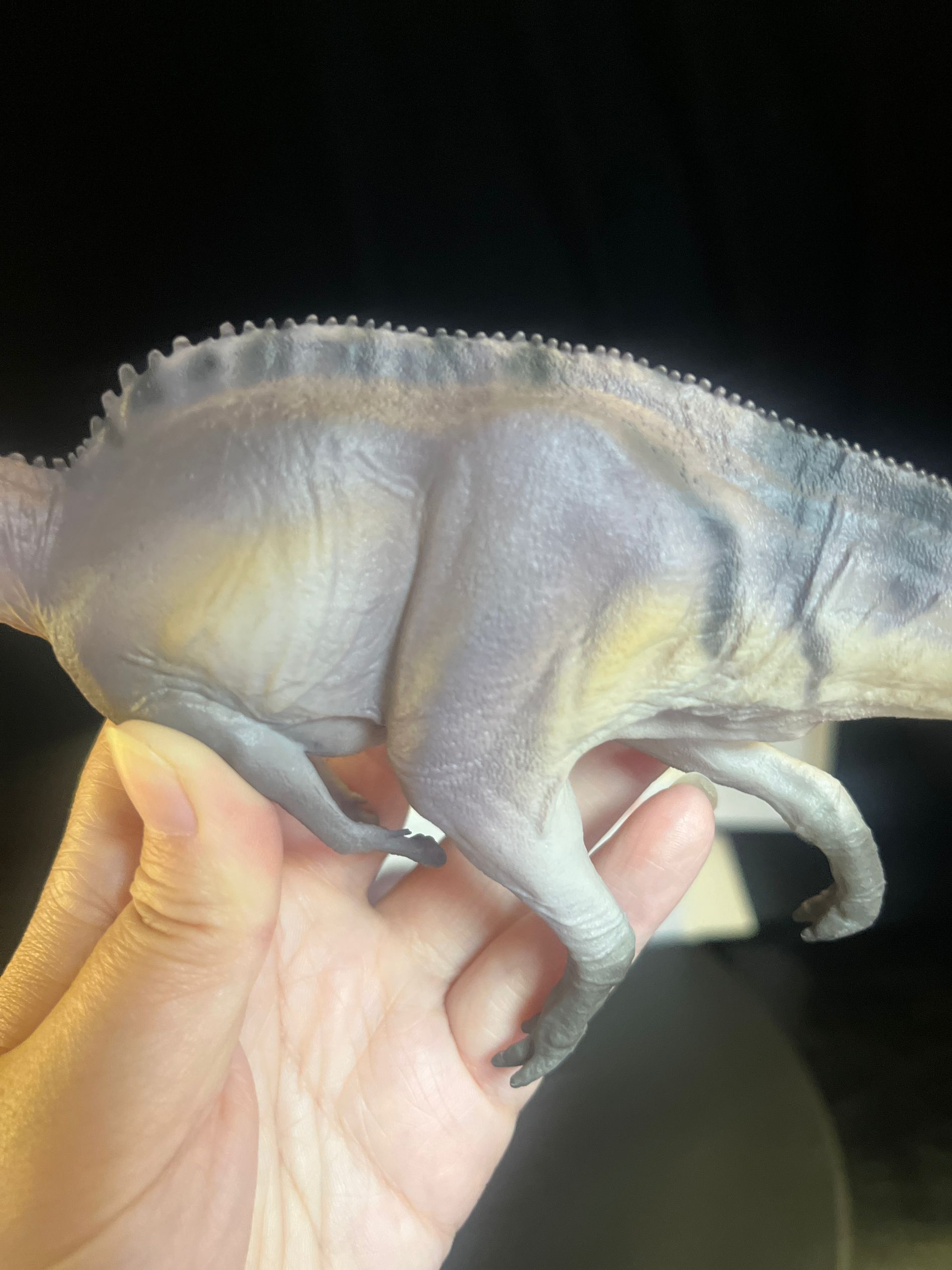 確認専用URL 確認専用URL