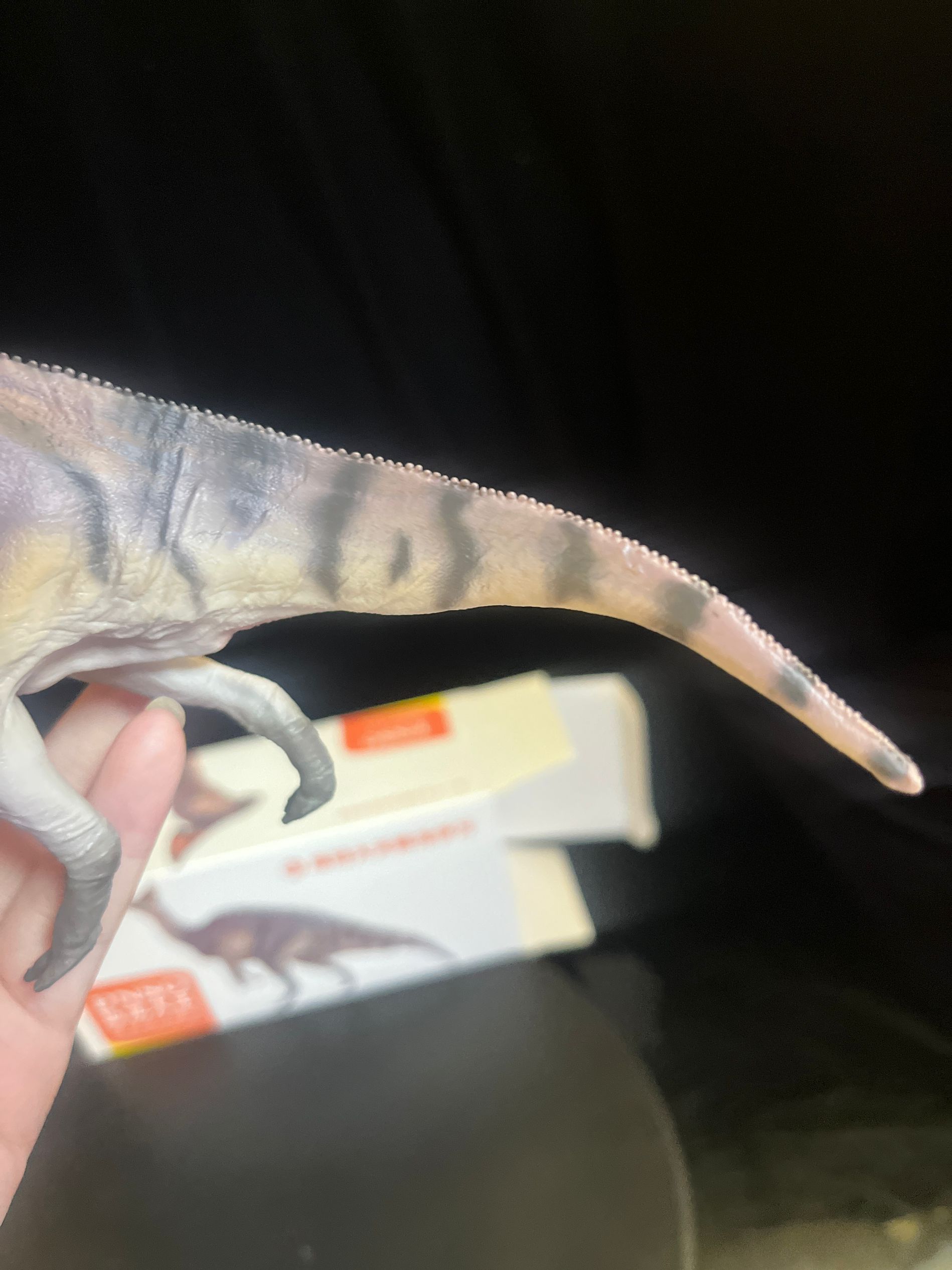 確認専用URL 確認専用URL