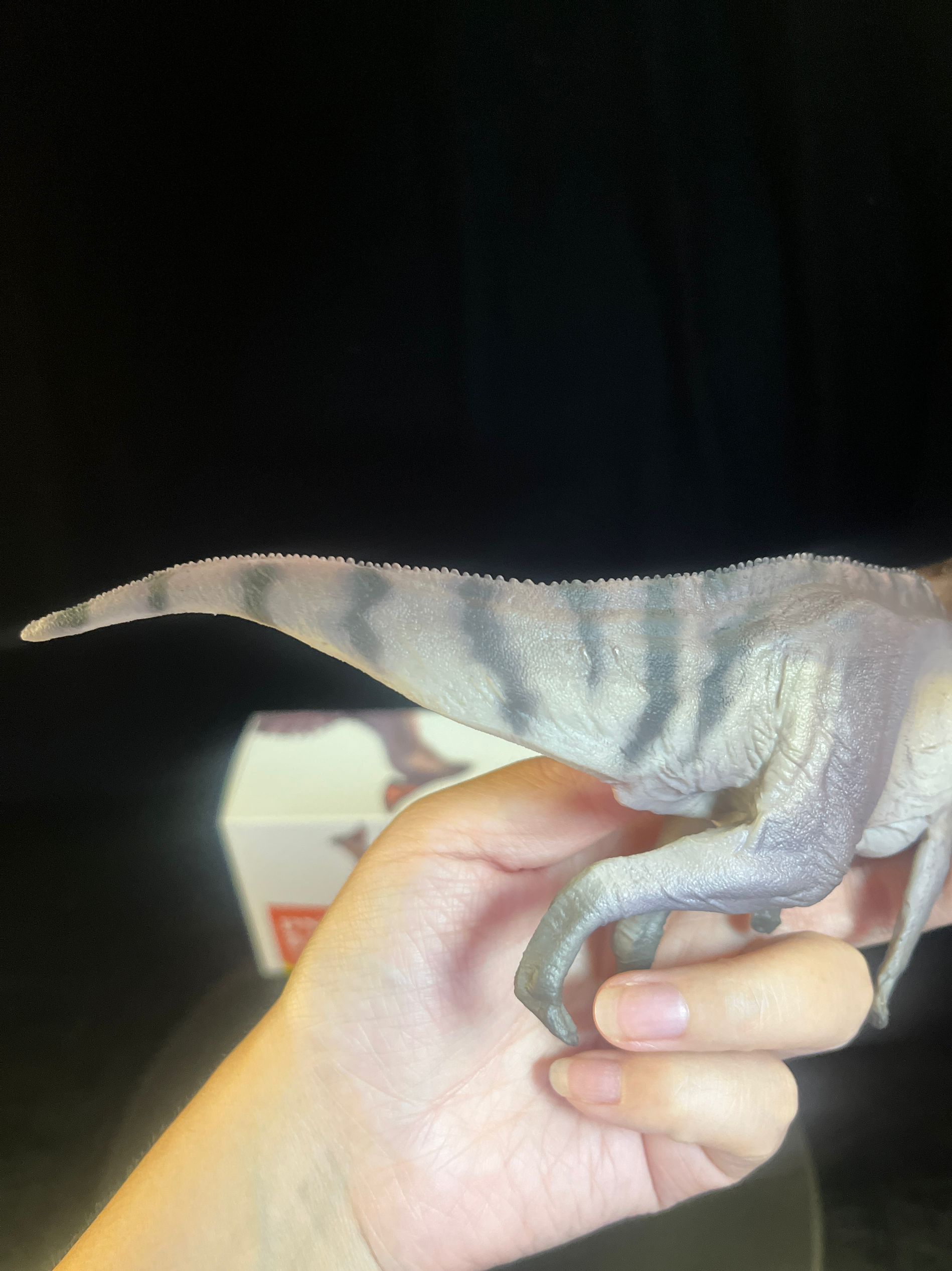 確認専用URL 確認専用URL