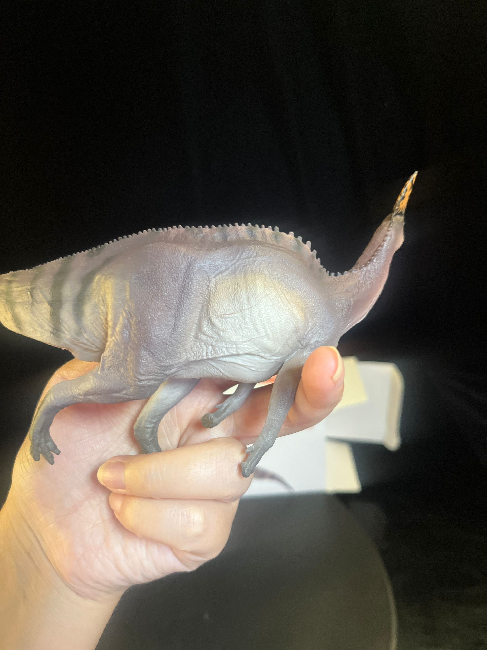 確認専用URL 確認専用URL