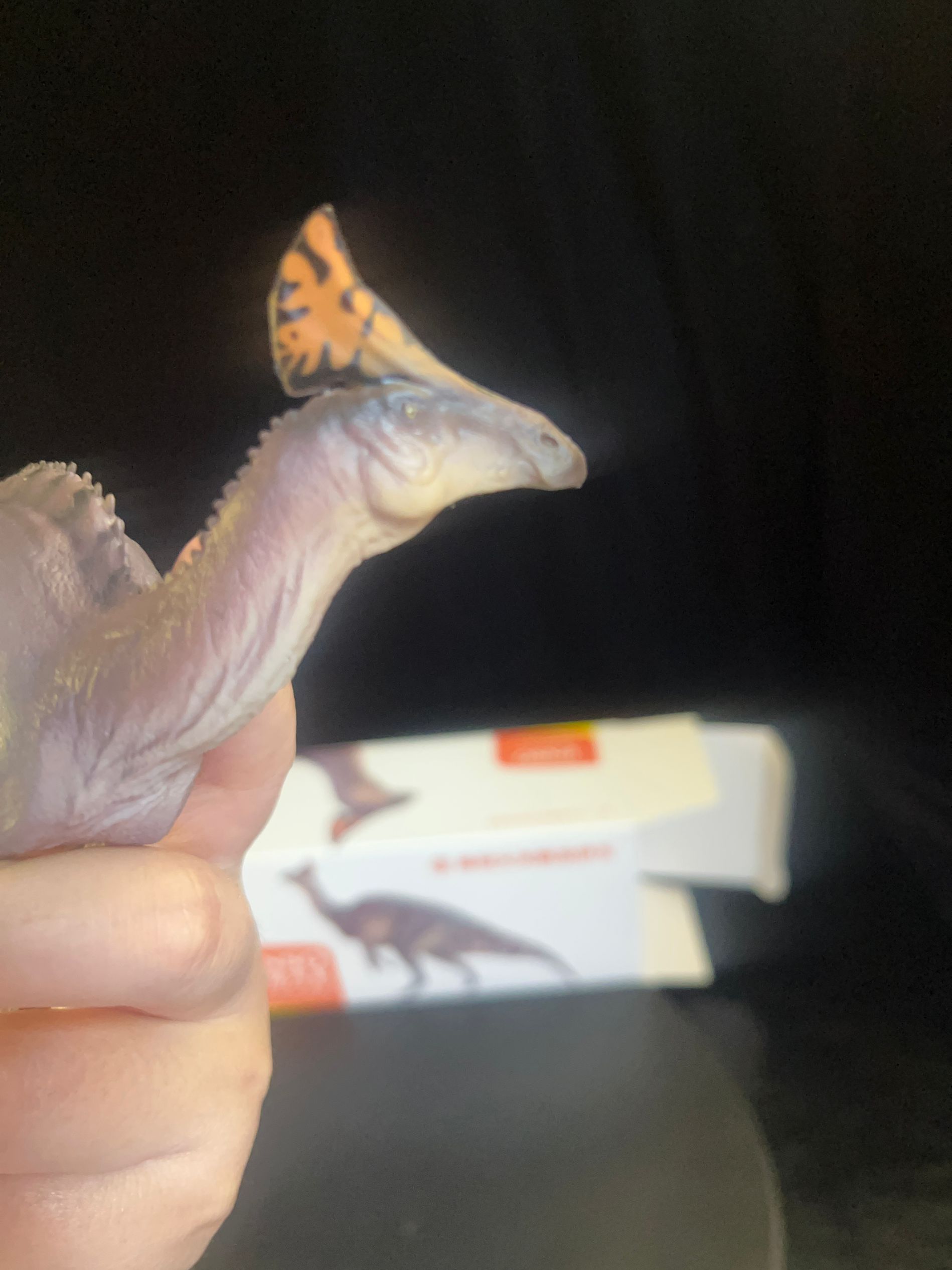 確認専用URL 確認専用URL