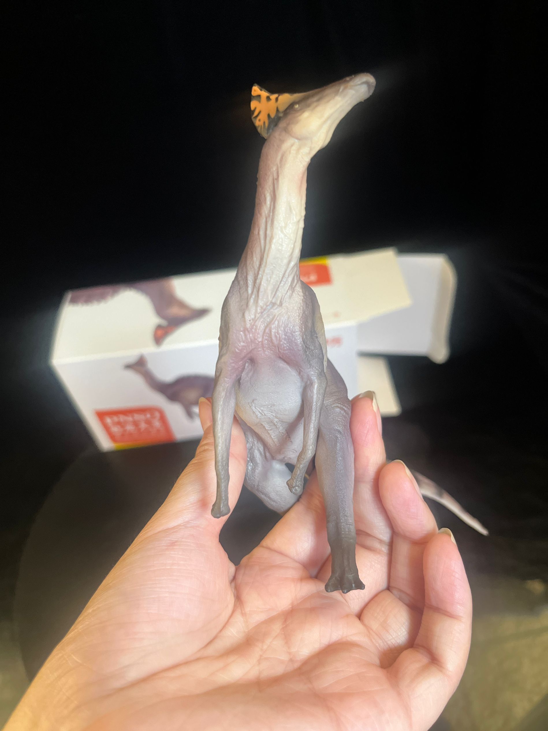 確認専用URL 確認専用URL