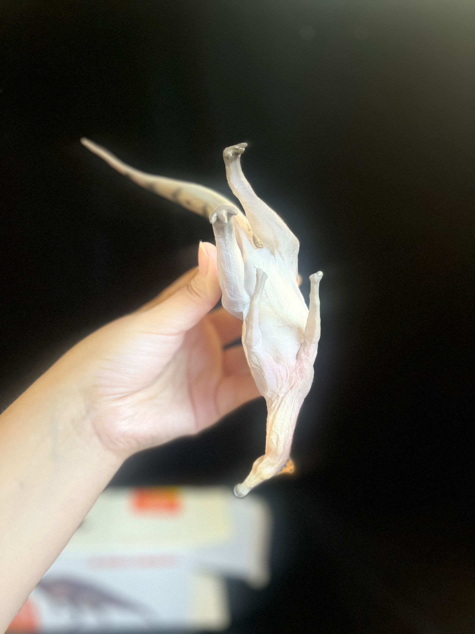 確認専用URL 確認専用URL