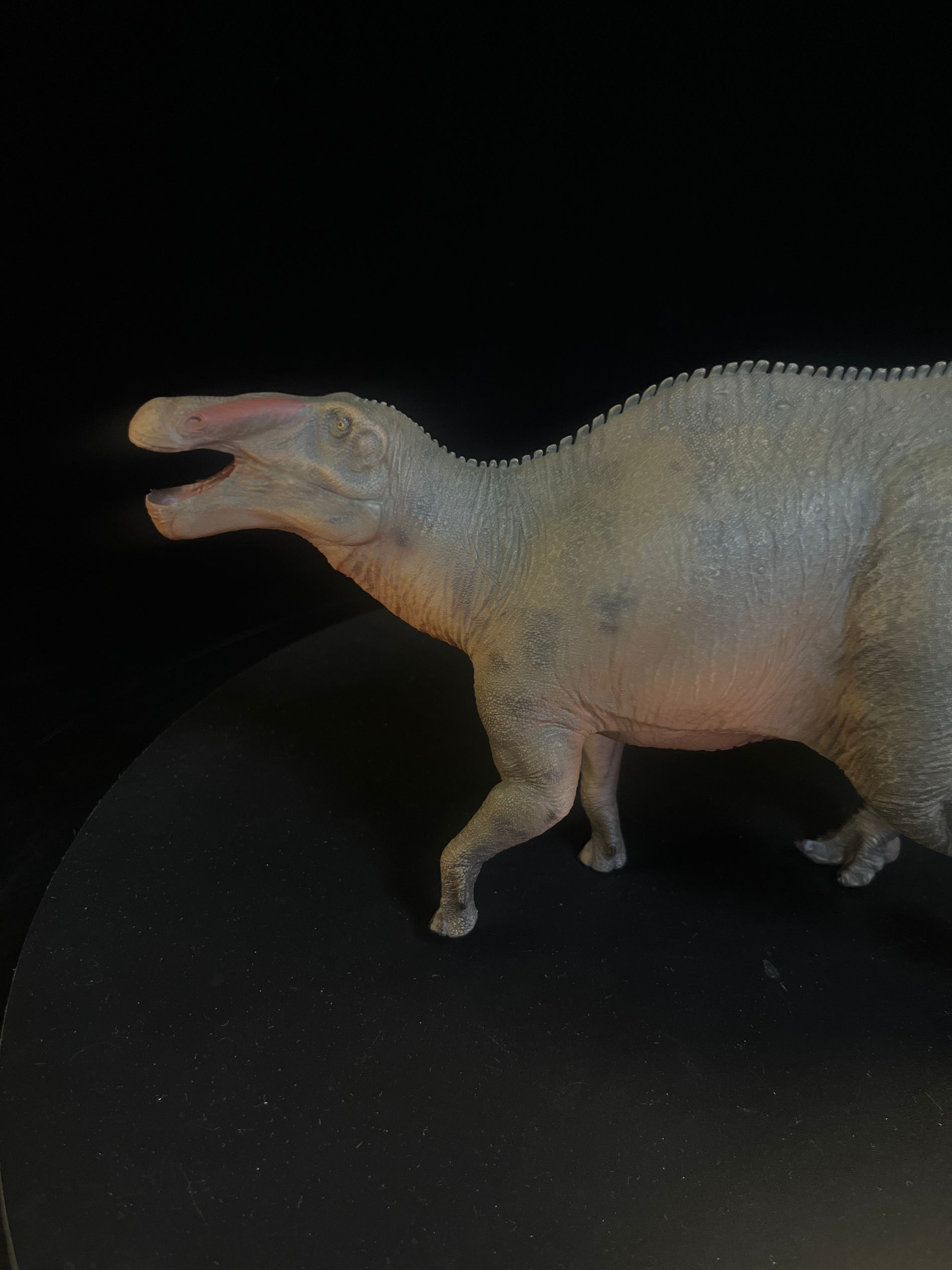 確認専用URL 確認専用URL