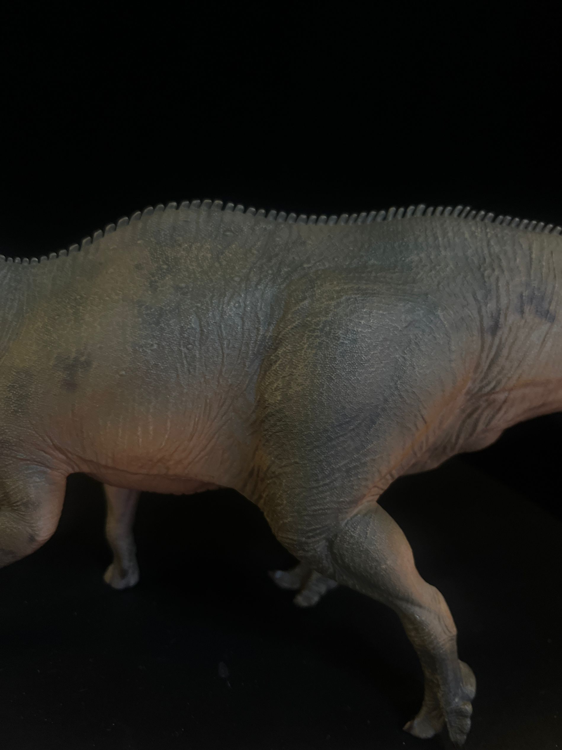 確認専用URL 確認専用URL