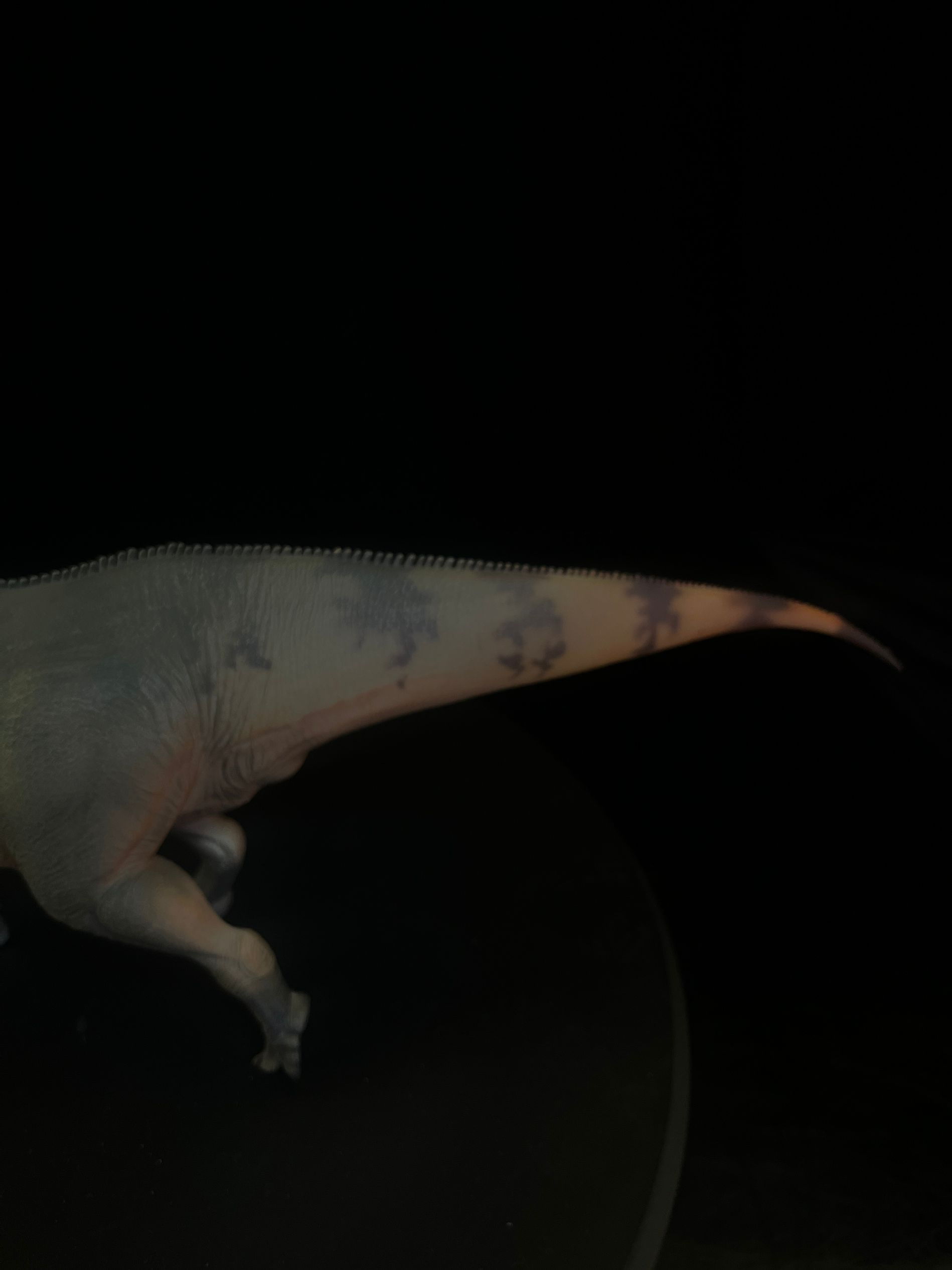 確認専用URL 確認専用URL