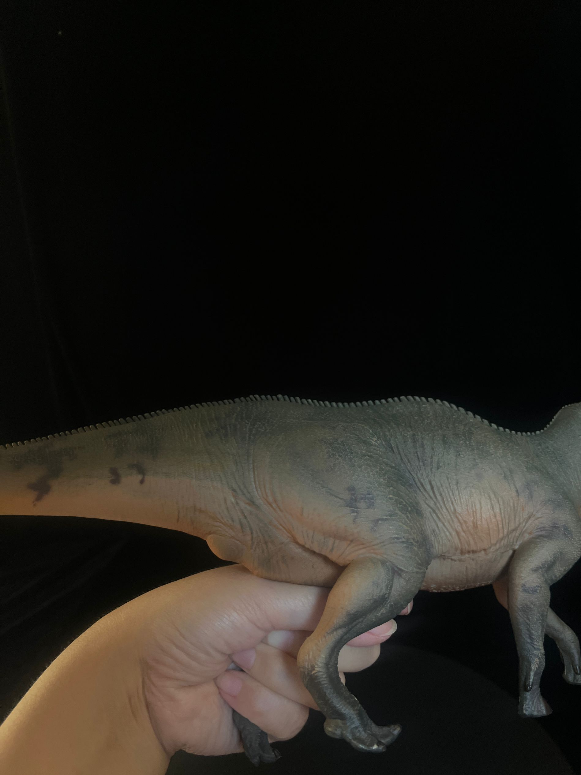 確認専用URL 確認専用URL