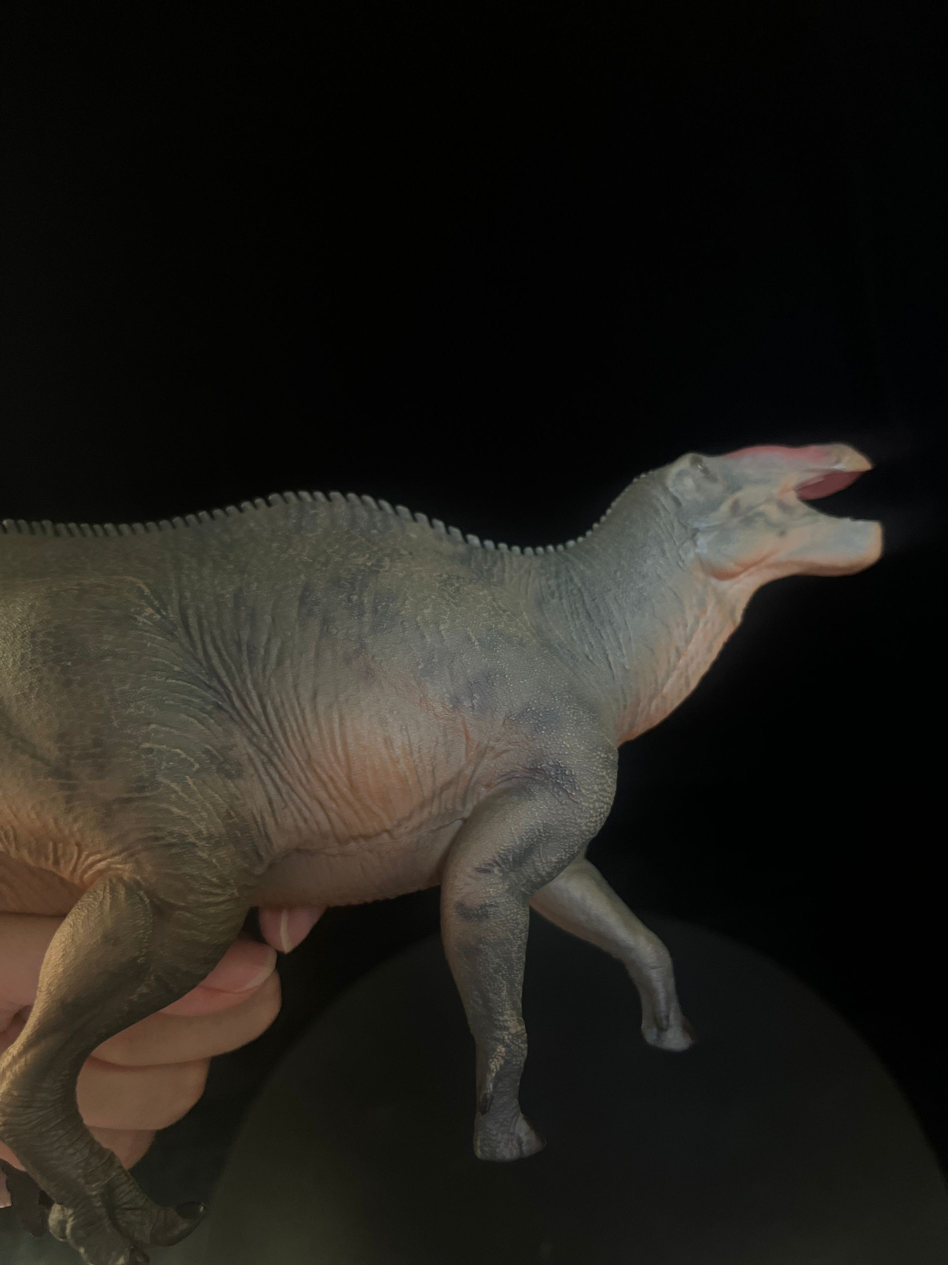 確認専用URL 確認専用URL