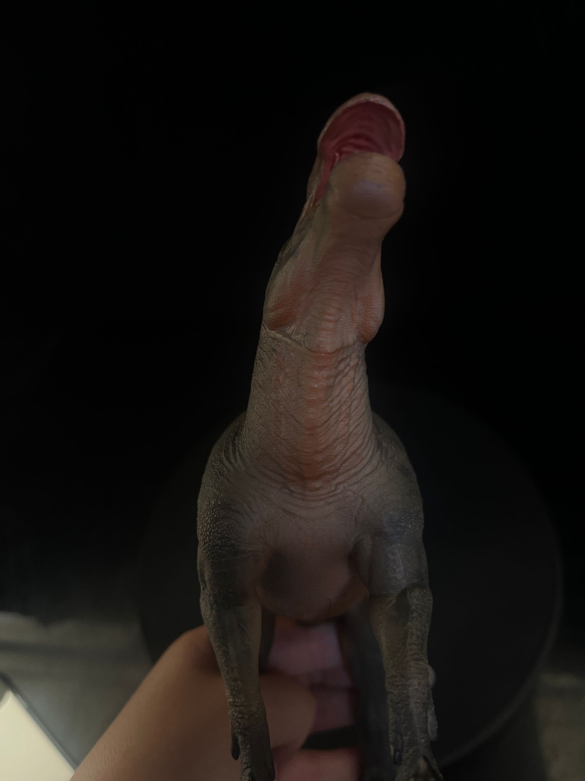 確認専用URL 確認専用URL