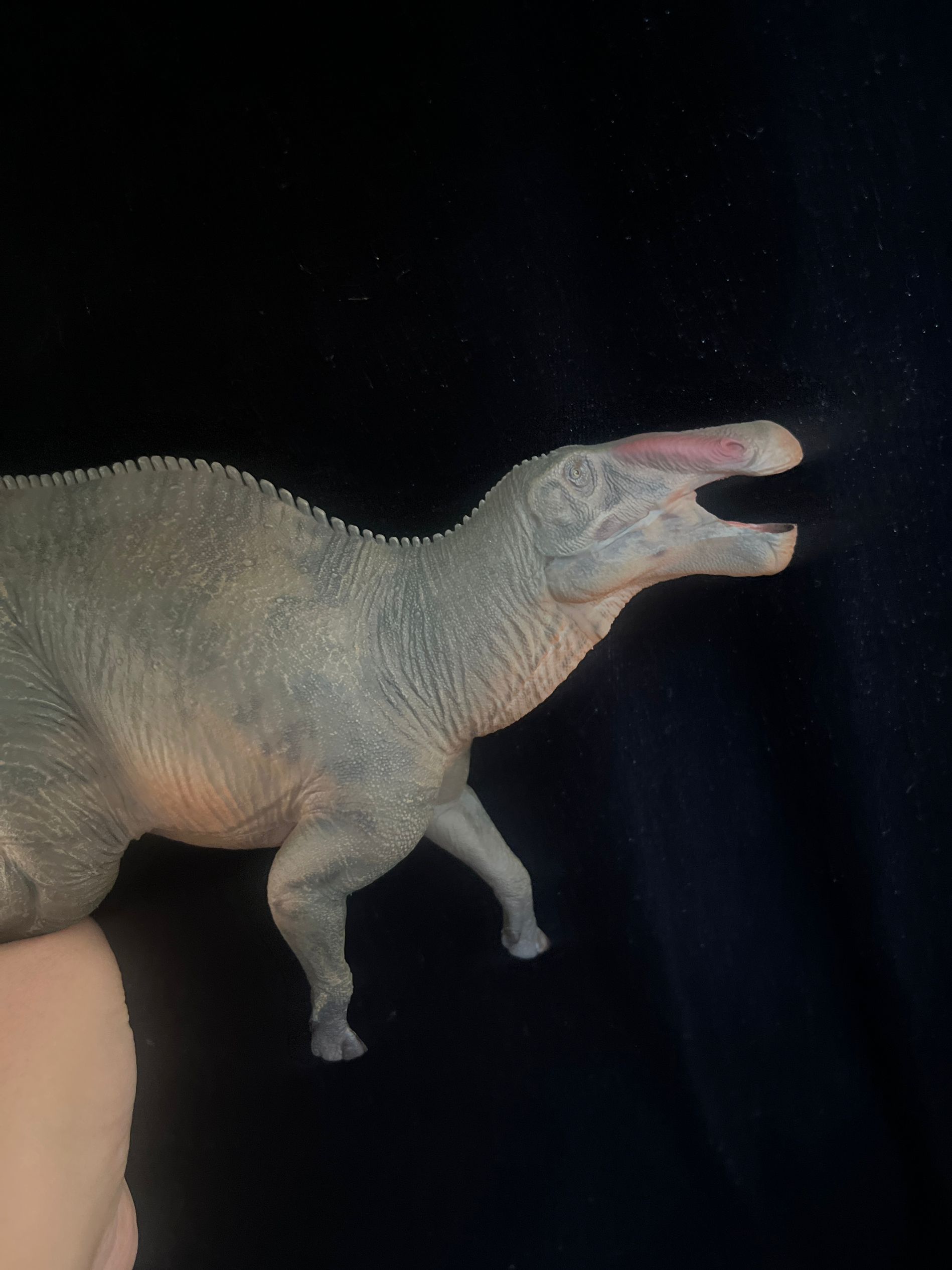 確認専用URL 確認専用URL