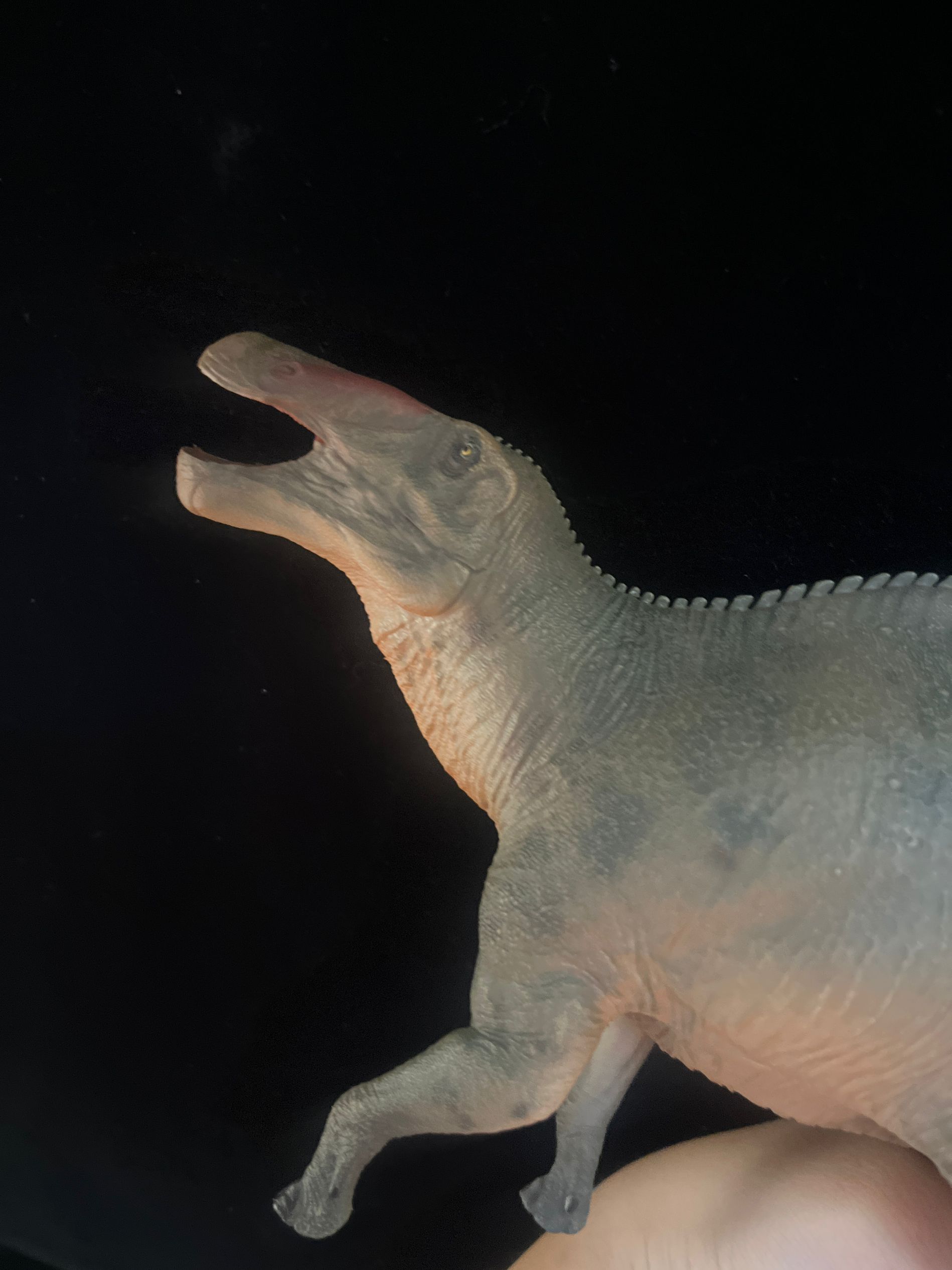 確認専用URL 確認専用URL