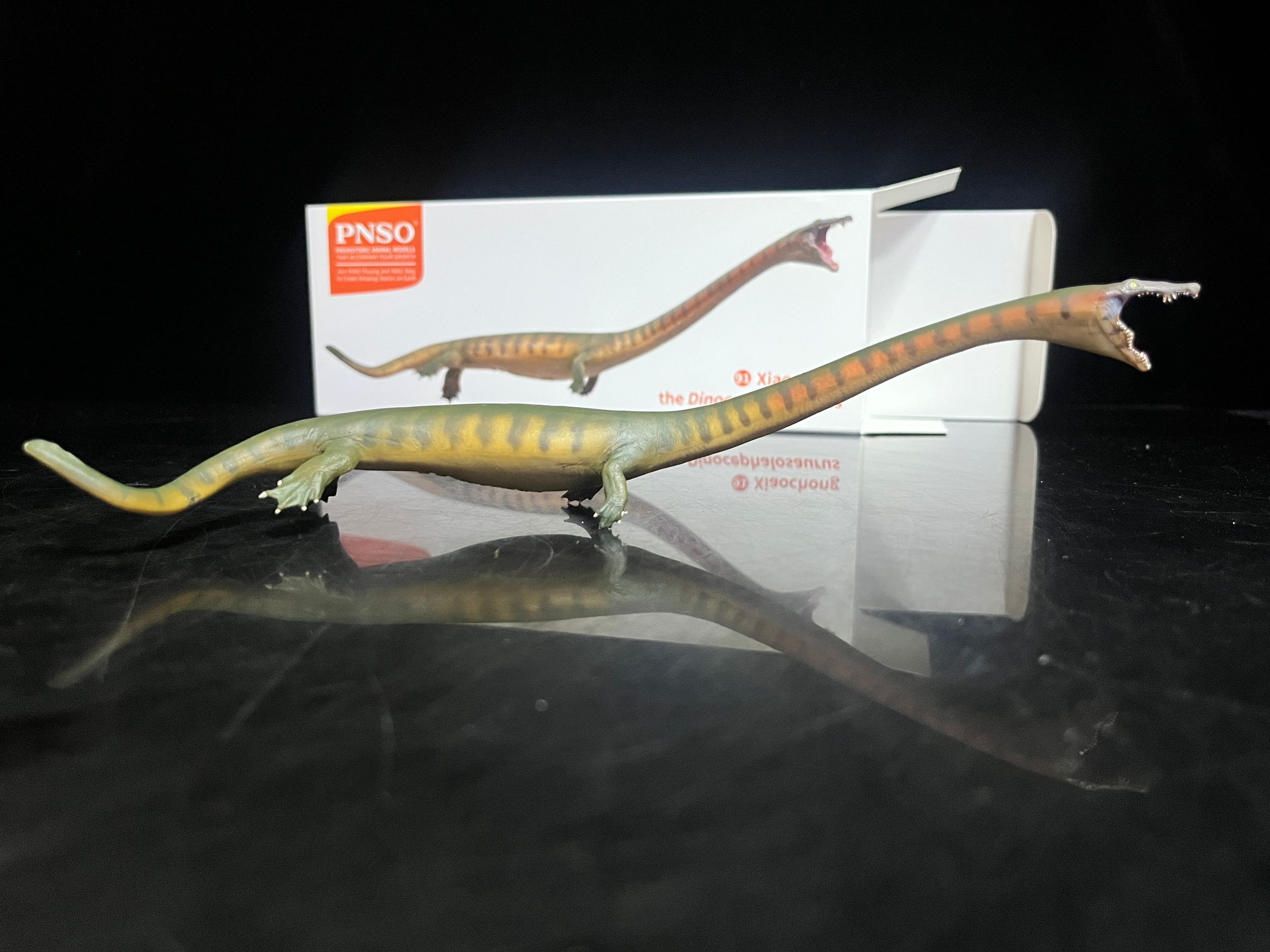 確認専用URL 確認専用URL