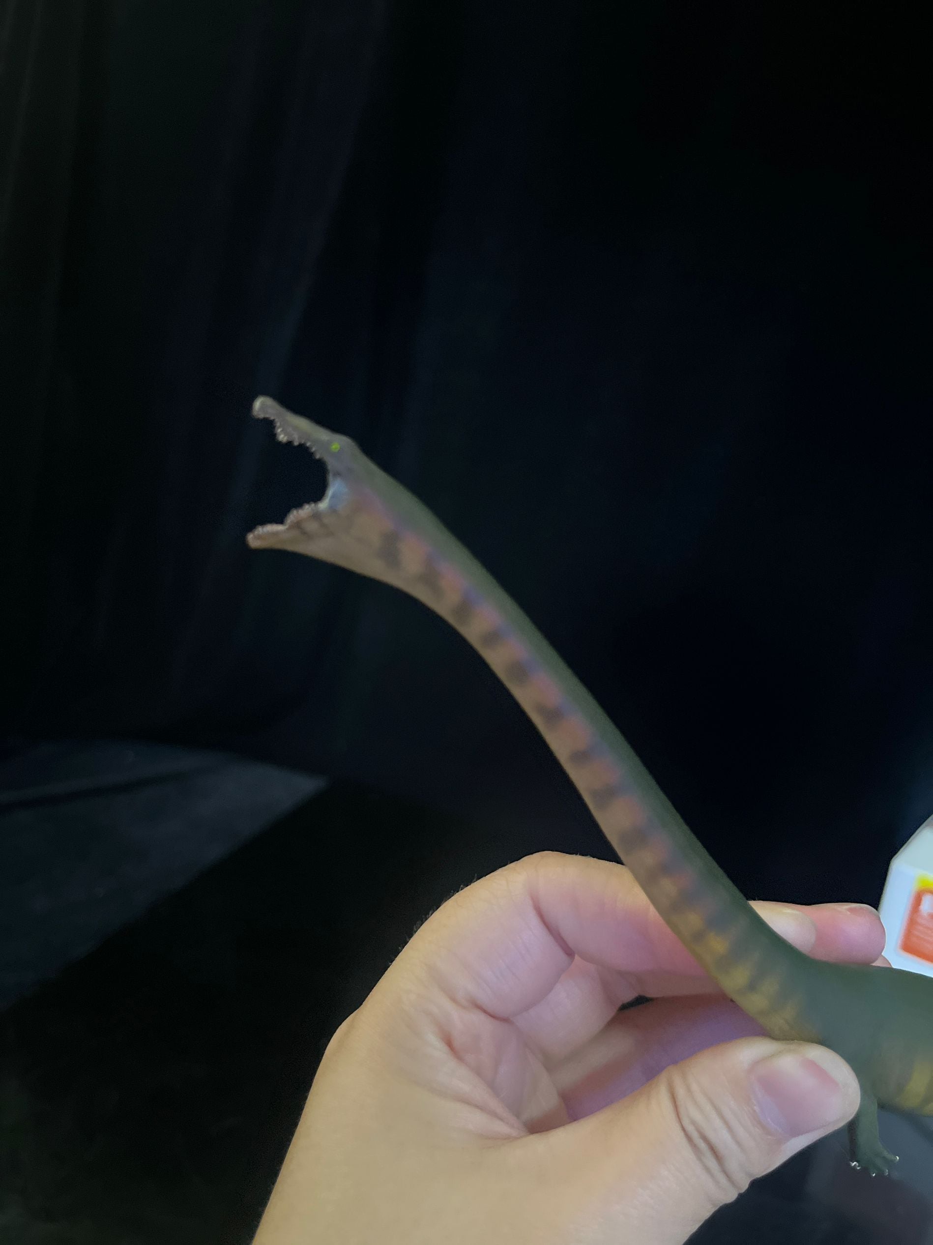 確認専用URL 確認専用URL