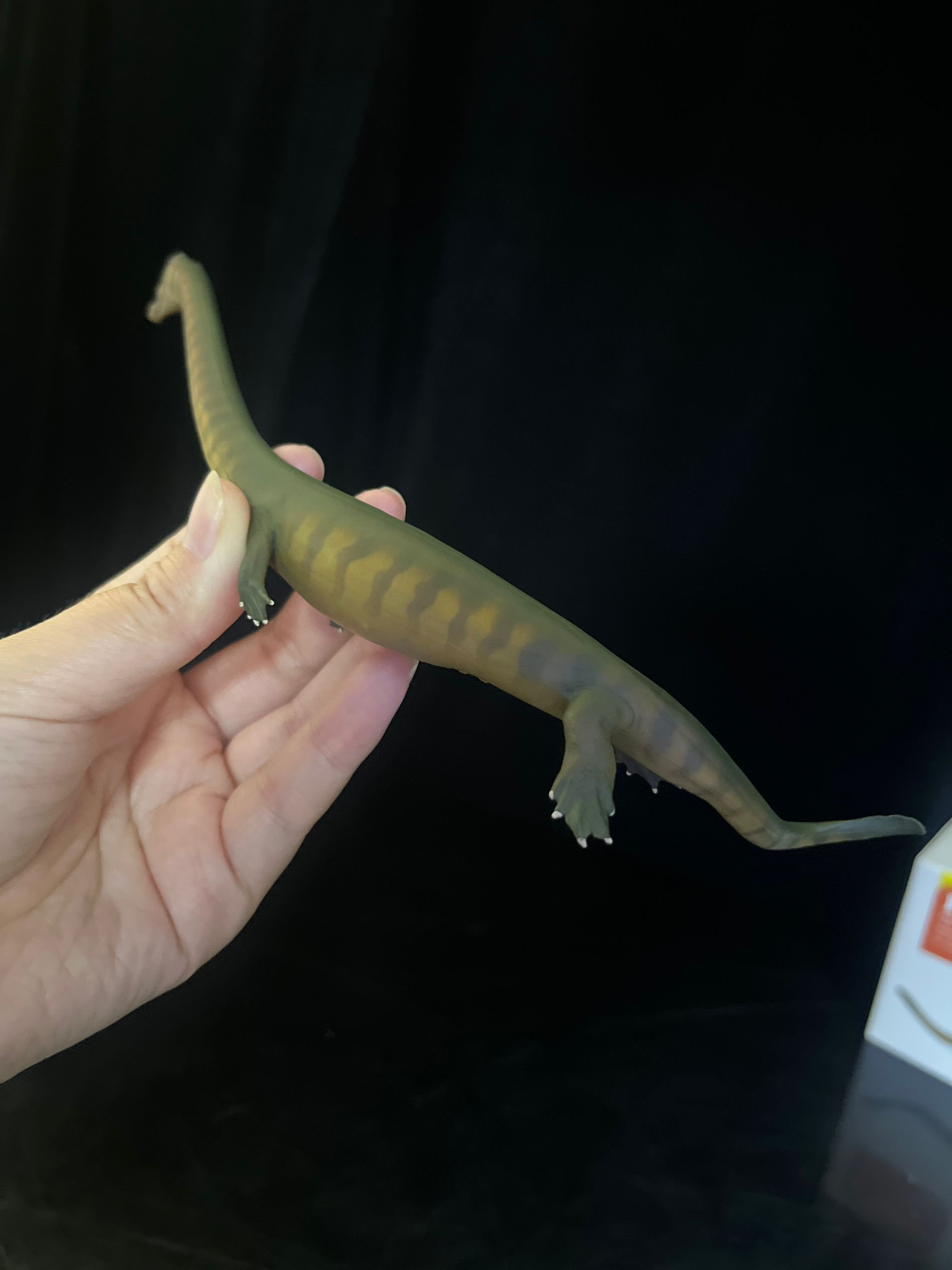 確認専用URL 確認専用URL