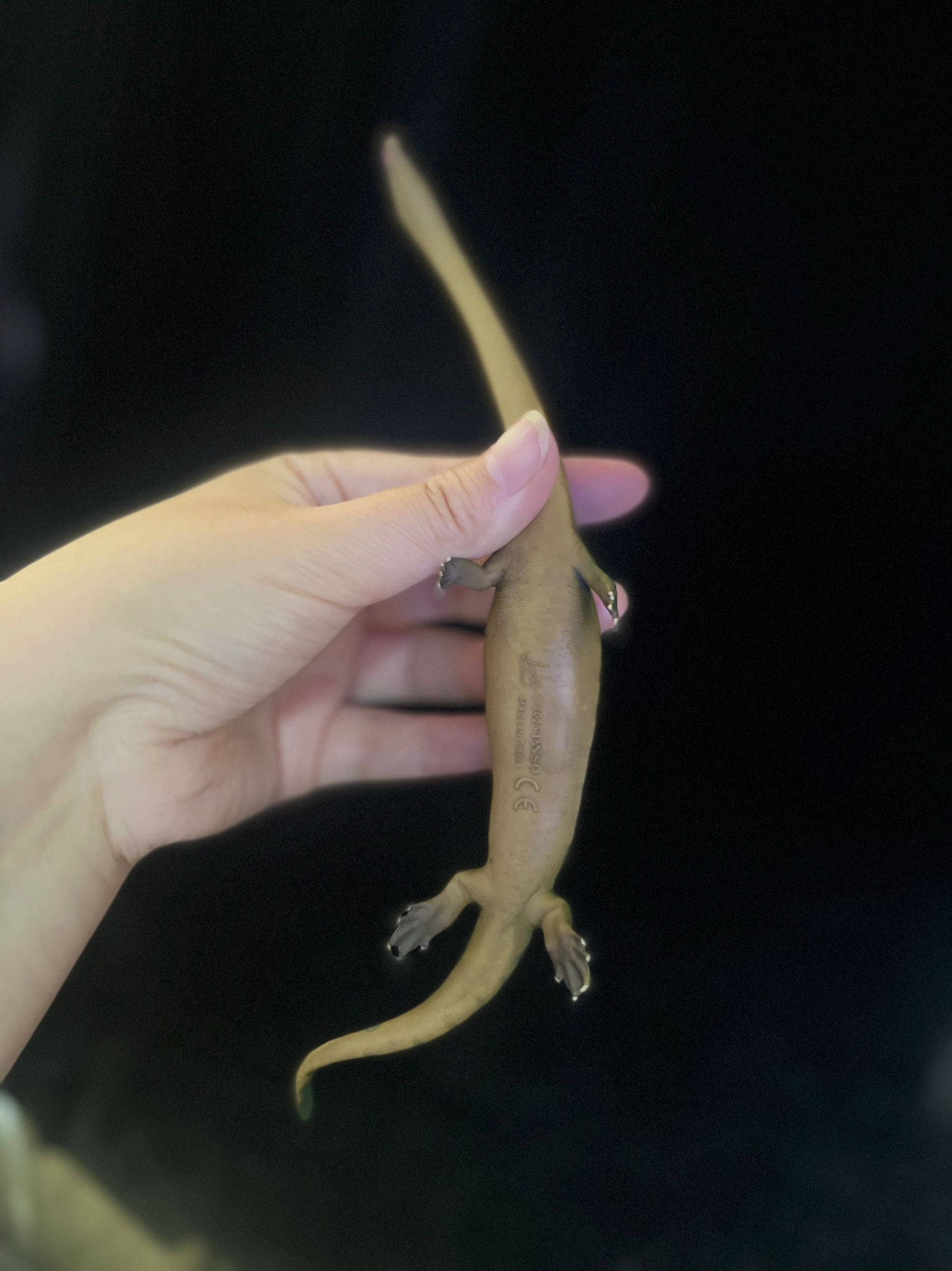 確認専用URL 確認専用URL