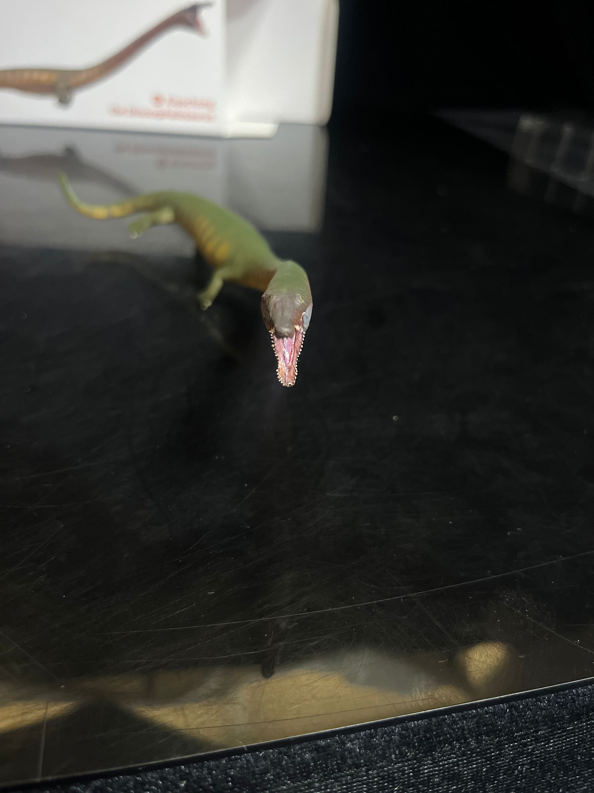 確認専用URL 確認専用URL