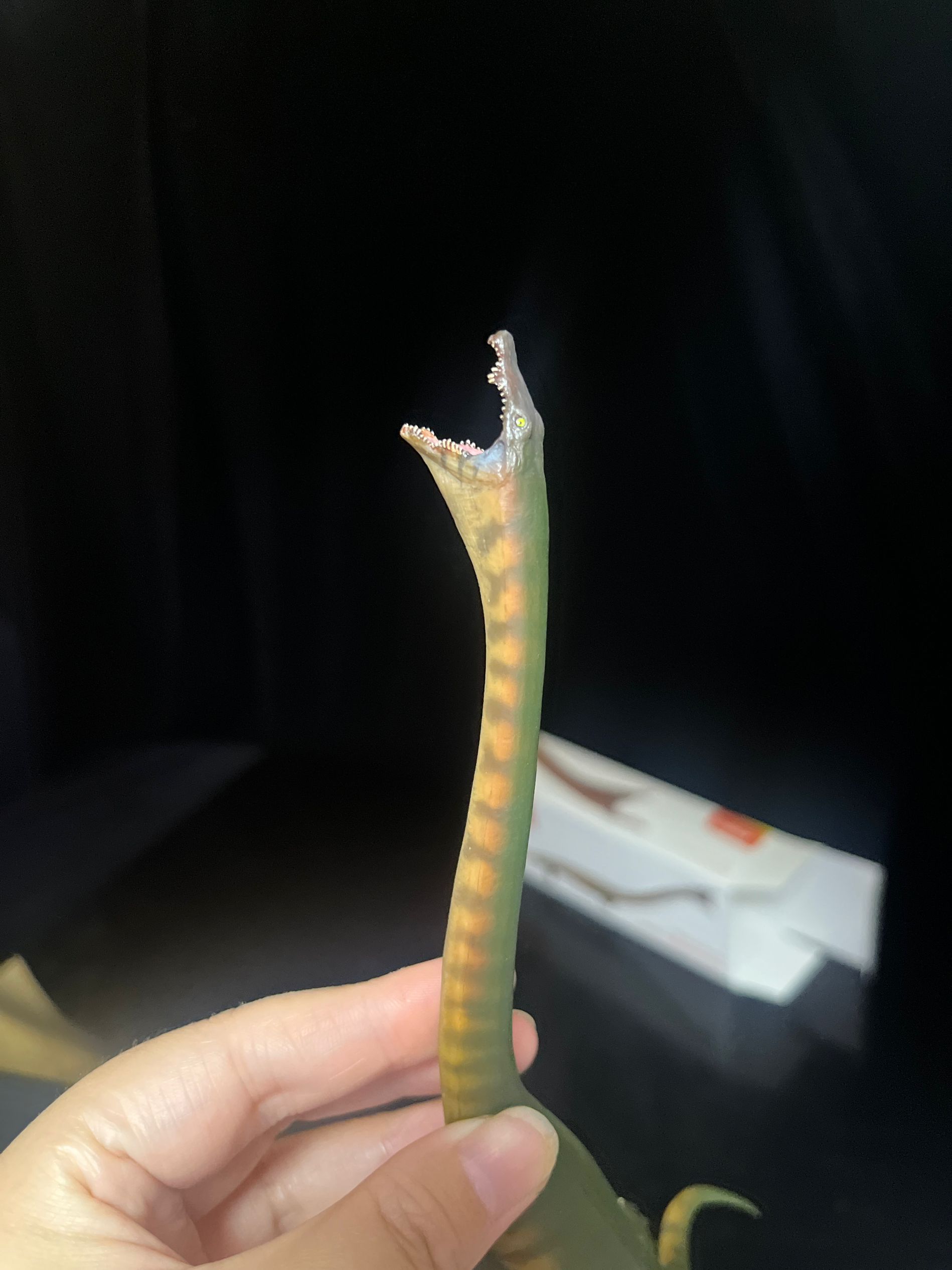 確認専用URL 確認専用URL