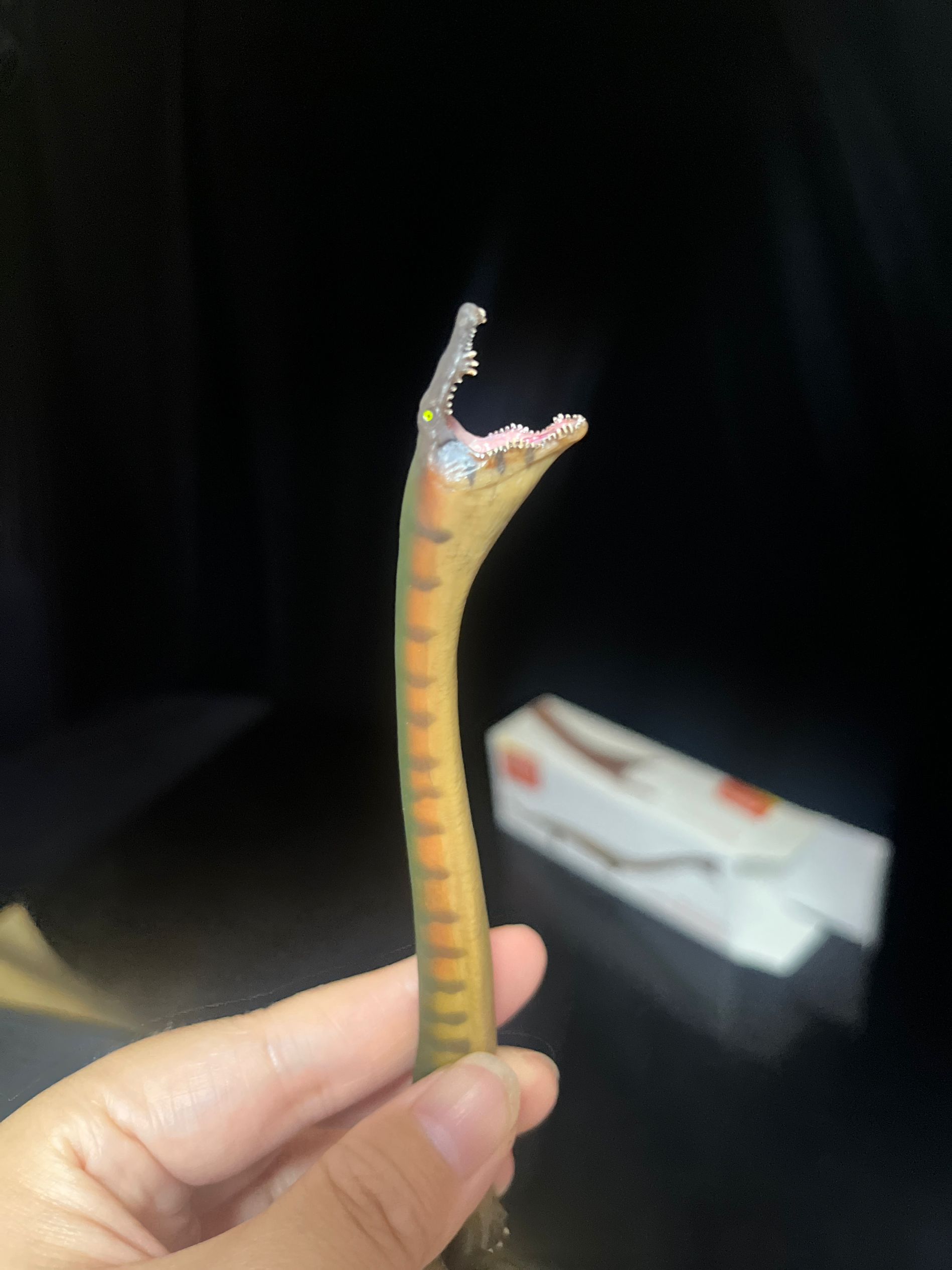 確認専用URL 確認専用URL