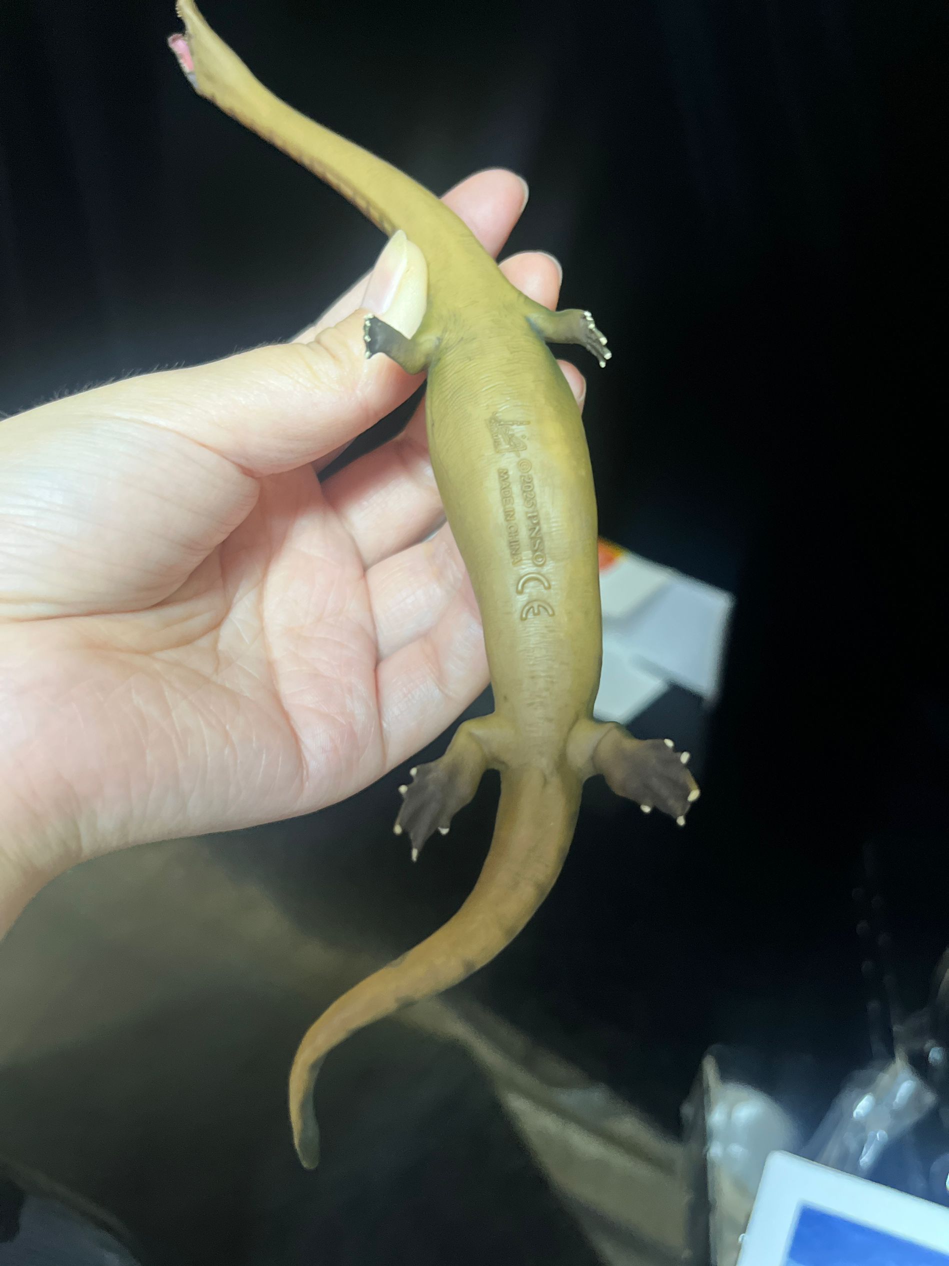 確認専用URL 確認専用URL