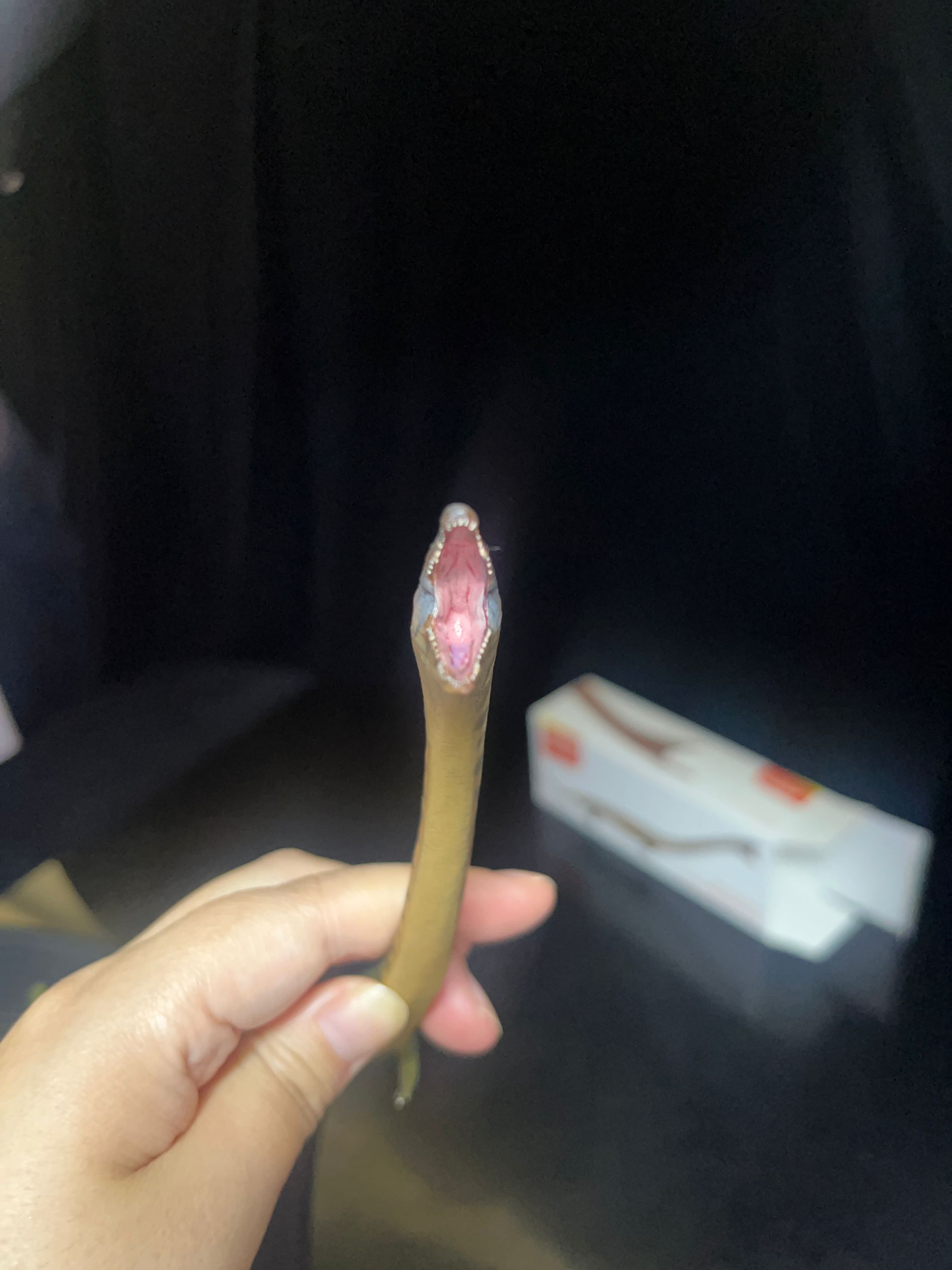 確認専用URL 確認専用URL