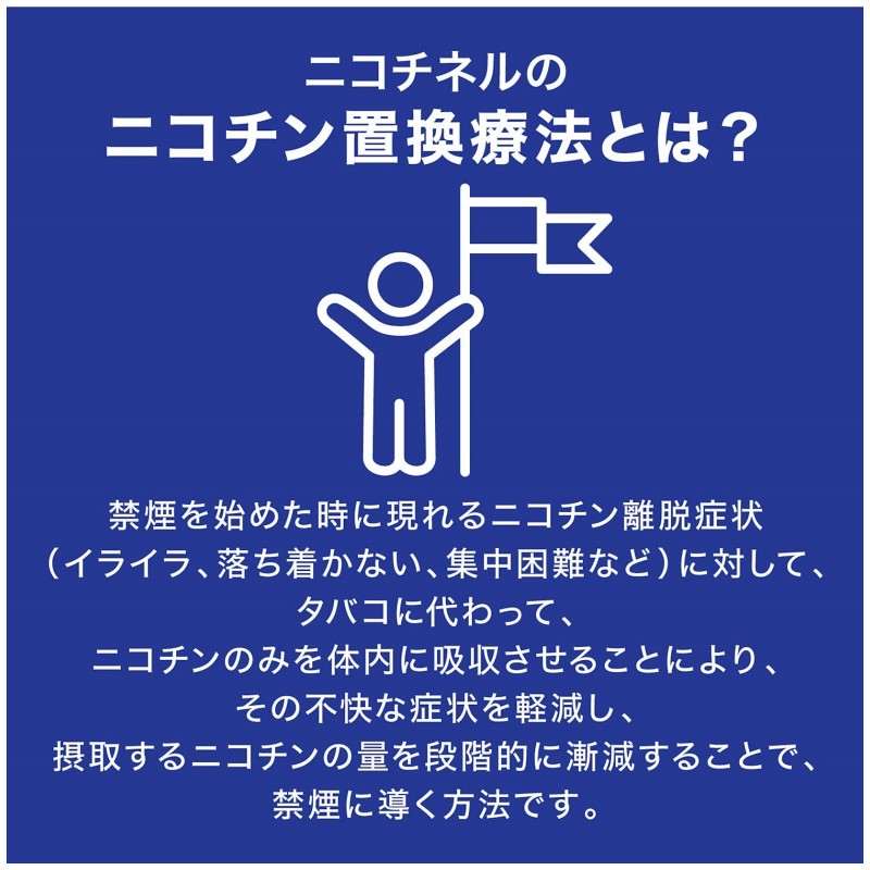 2個セット 【指定第2類医薬品】ニコチネル 禁煙補助薬 スペアミント 50個【セルフメディケーション税制対象】