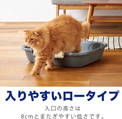 【OFT】 シニア猫トイレ Kitty and Puppy Pan L キティアンドパピーパン 子猫やシニア猫 猫 犬 用 足の短い猫ちゃんに 入り口高さ8cm 猫トイレ 一体成型 【外寸】幅61奥5 【OFT】 シニア猫トイレ Kitty and Puppy Pan L キティアンドパピーパン 子猫やシニア猫 猫 犬 用 足の短い猫ちゃんに 入り口高さ8cm 猫トイレ 一体成型 【外寸】幅61奥5