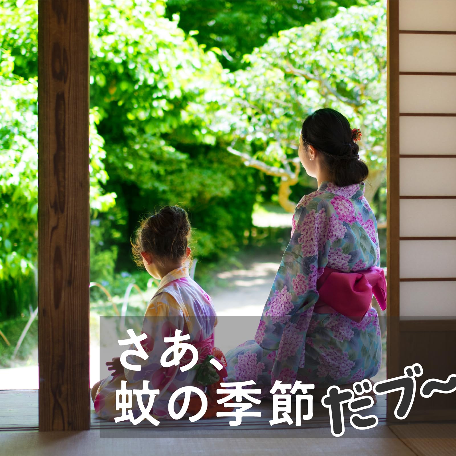 【まとめ買い】アースノーマット　蚊とり黒ブタ60日セット容量1個×10点セット アース製薬 殺虫剤・ハエ・蚊