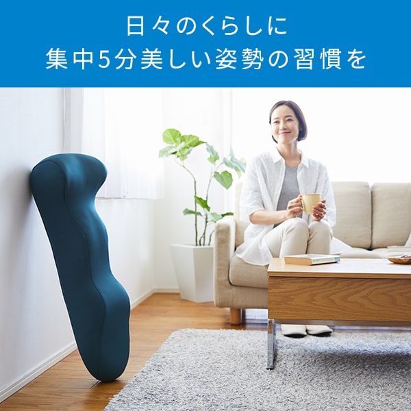 スタイルリカバリーポール スタイルリカバリーポール