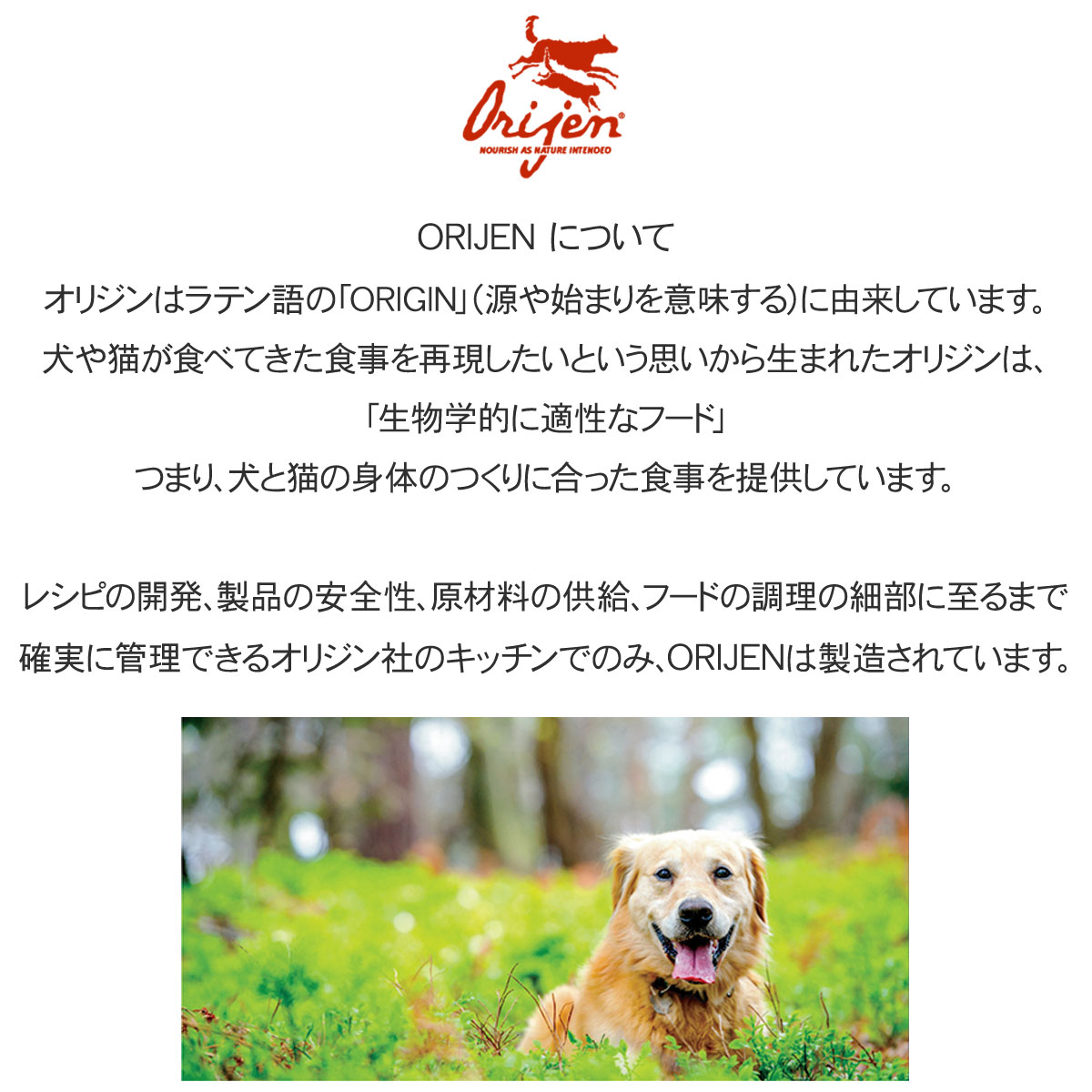 シニア 2kg【わんわんウエットてぃっしゅ1個付き】