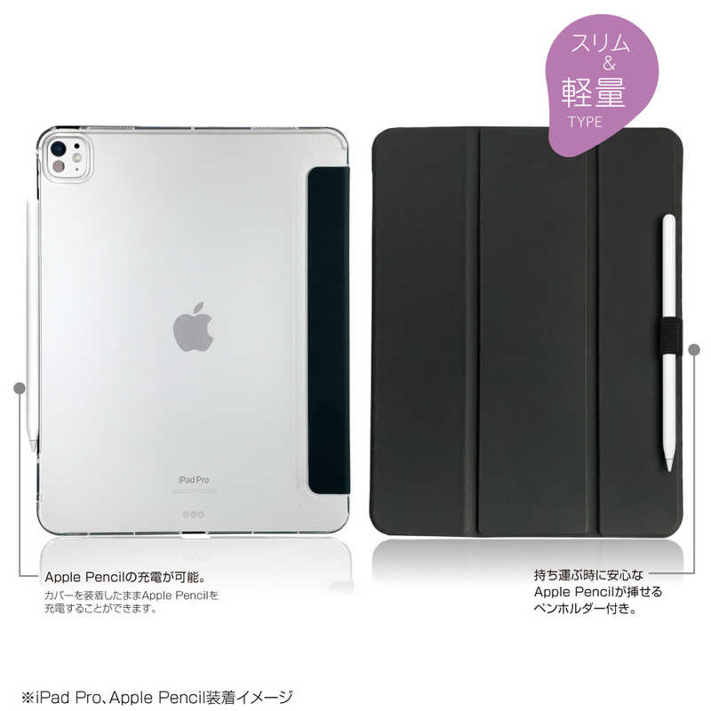 ナカバヤシ iPadPro(M4)13インチ用 軽量ハードケースカバー TBCIPP24300BK ナカバヤシ iPadPro(M4)13インチ用 軽量ハードケースカバー TBCIPP24300BK
