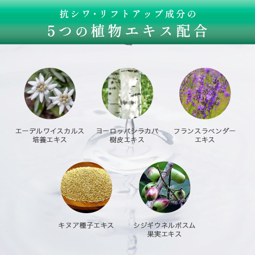 Qoo10] KATAN 【12月中旬発送】ダーマヒットセラム10