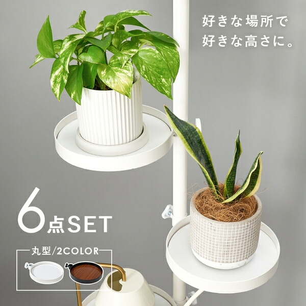 突っ張りラック 丸型 6点セット(突っ張り棒/トレイx5個) ブラウンxブラック 組立品 突っ張りラック 丸型 6点セット(突っ張り棒/トレイx5個) ブラウンxブラック 組立品