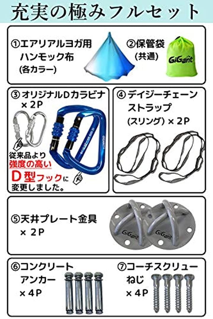 グラデーション エアリアルヨガ 専用 ハンモック フルセット 5ｍx2.8ｍ 空中 ヨガハンモック エクササイズ エアロヨガ フィットネス 国内品 (グラデラベンダー)_3