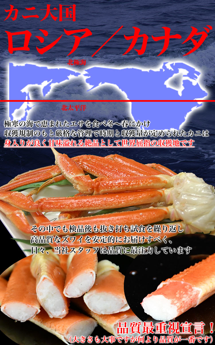 新作限定品 ズワイガニ ずわい... : 食品 脚 総重量2kg(足 正規店好評