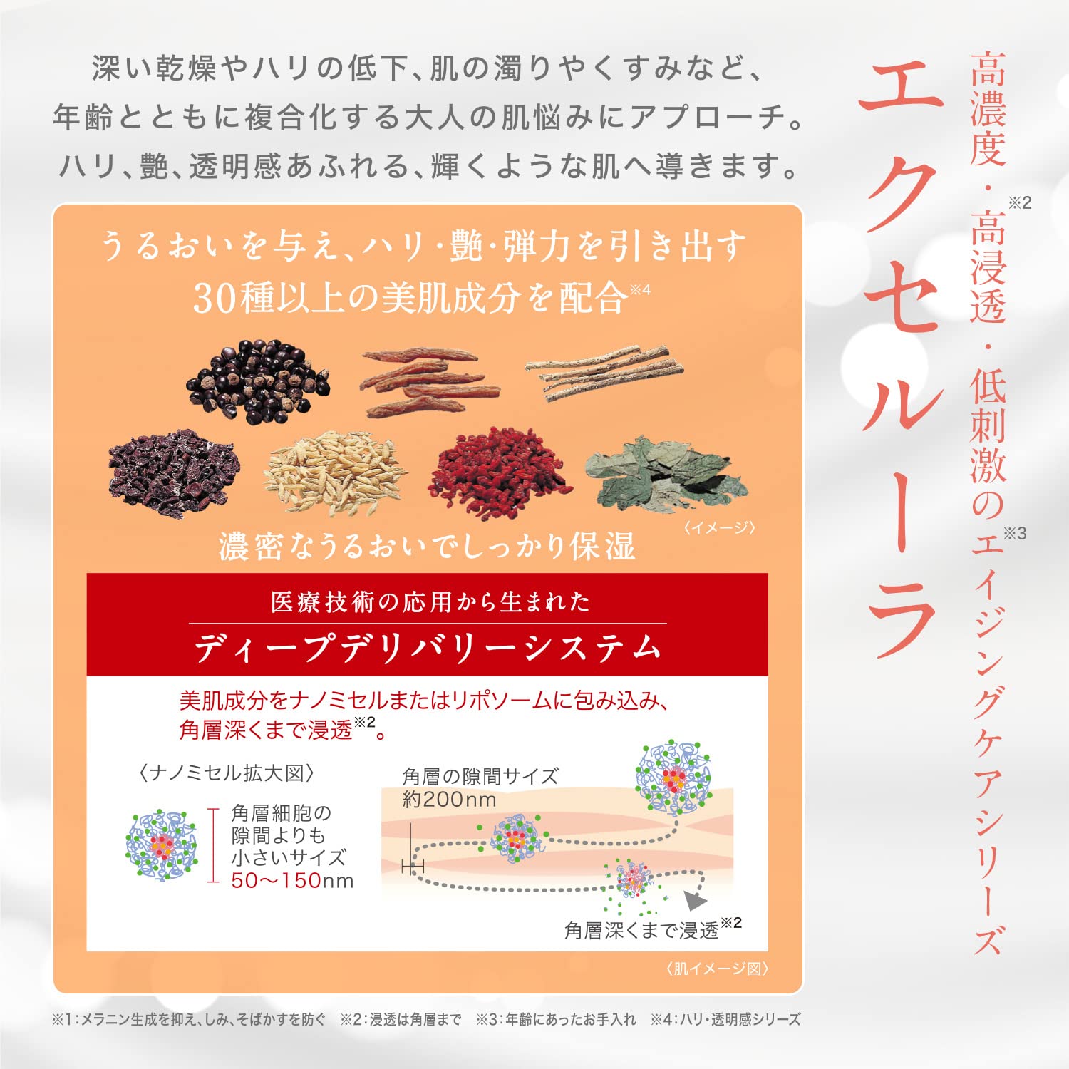 佐藤製薬 エクセルーラ パワークリームEX 40g (ハリ弾力/植物性保湿オイル) 保湿クリーム 佐藤製薬 エクセルーラ パワークリームEX 40g (ハリ弾力/植物性保湿オイル) 保湿クリーム