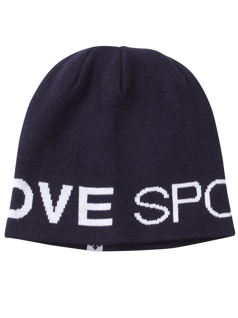 ニットキャップ DESCENTE デサント 大きいサイズ メンズ ニット帽 帽子 ブランド ロゴプリント C040930-06
