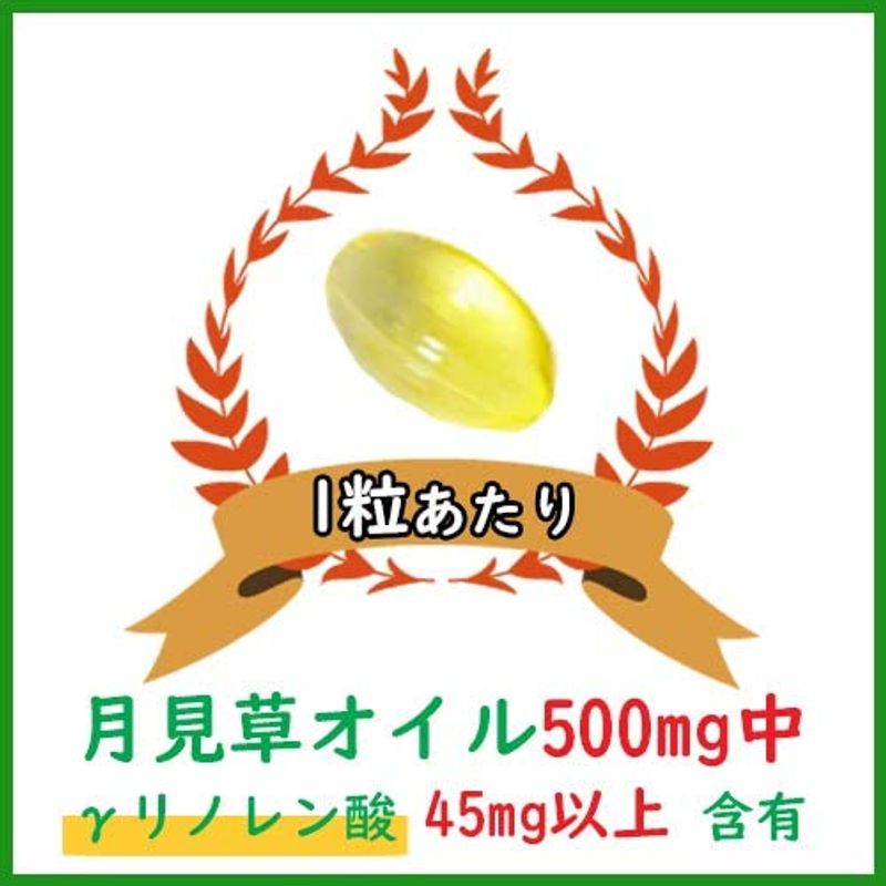 γ-リノレン酸含有月見草オイル6ヶ月 : 健康食品・サプリ 新作高品質