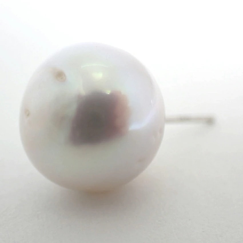 Pt900 南洋白蝶真珠(ホワイトパール)ピアス/g440-36 【公式通販】