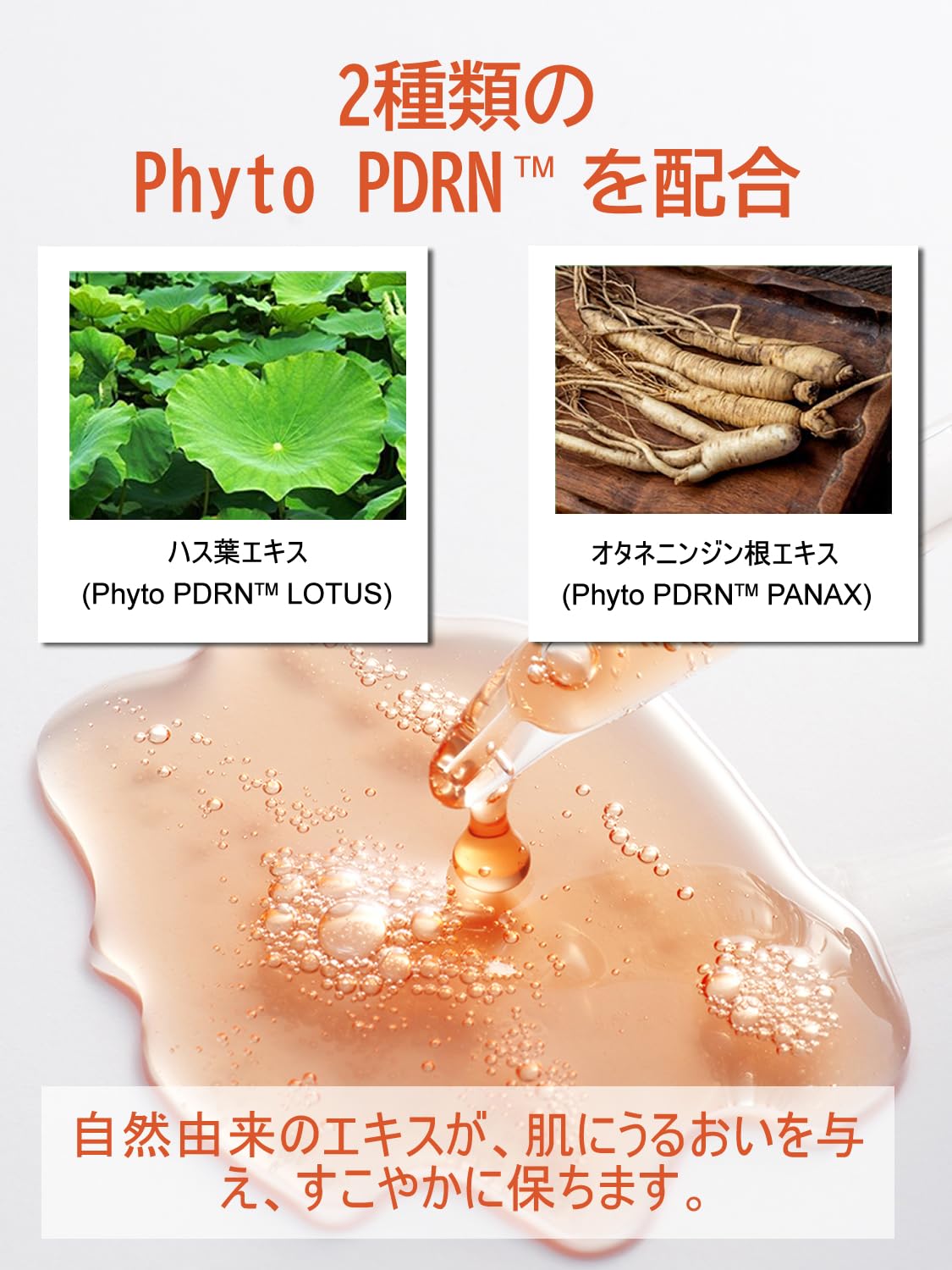 KisoCare PDRN ピンク 美容液 120,000ppm KisoCare ミルトセラムRN 30ml DNA-Na KisoCare PDRN ピンク 美容液 120,000ppm KisoCare ミルトセラムRN 30ml DNA-Na