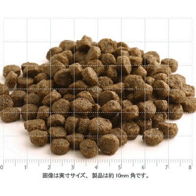 フィッシュ4 ドッグ サーモン シニア 小粒 12kg 2個セット