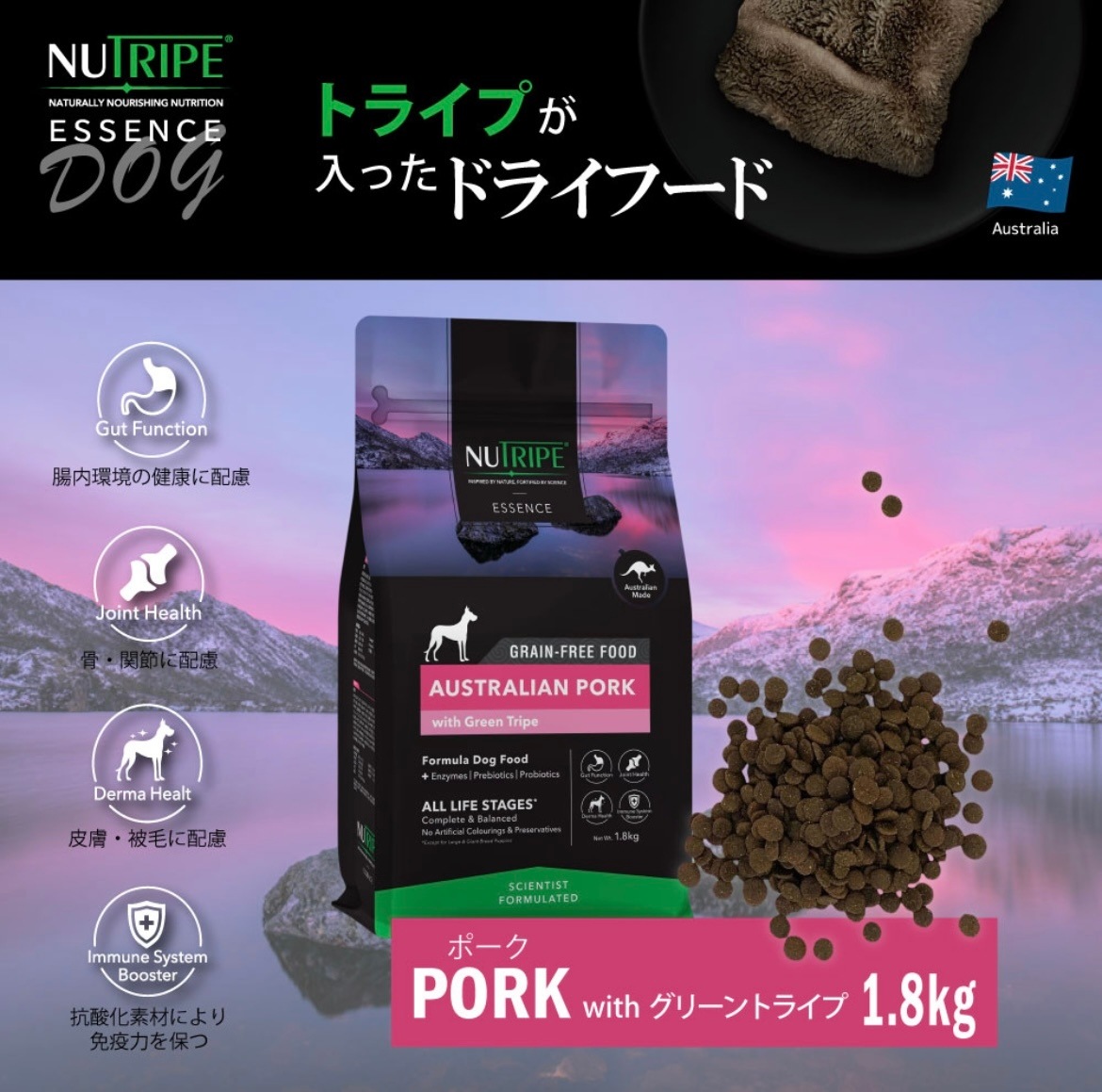 ニュートライプ 犬 ドックフード ドライ　ポーク＆グリーントライプ 1.8kg 正規品 ドッグフード 全犬種 全年齢 全ライフステージ オールステージ