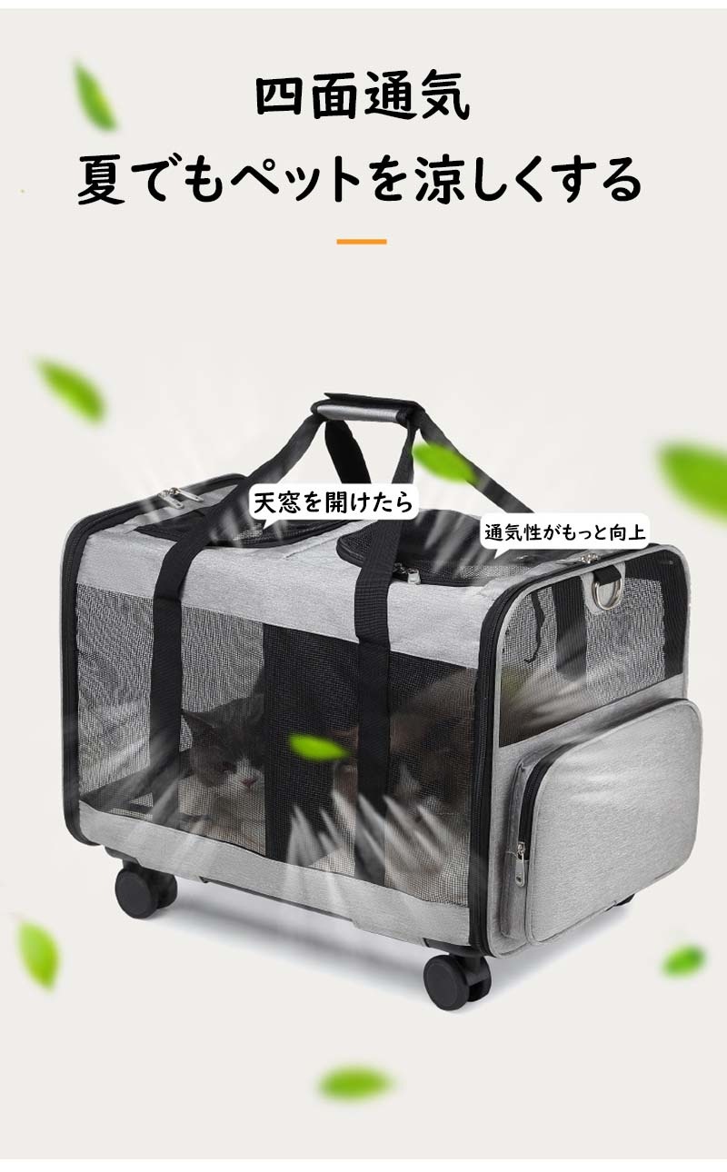 ペットキャリーカード 猫 犬 小型犬 カード 台車 ペットキャリーバッグ キャリーバッグ マット付 折りたたみ 通気性 手提げ お出かけ おしゃれ 2way 安全ロープ付 2匹収納 ペット用リュッ