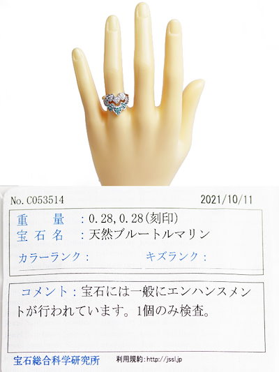 定番正規品 MR2005 中古 プラチナ ブルートル : 腕時計・アクセサリー 豊富な通販