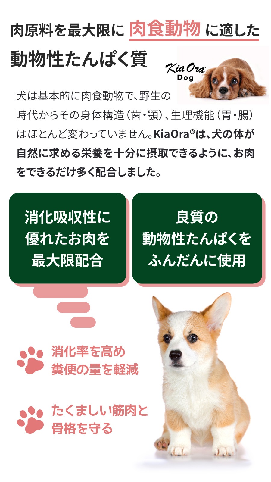 ドッグフード グラスフェッドビーフ&レバー 9.5kg【国産鹿レッグボーン 1本Mサイズ付き】 ドッグフード グラスフェッドビーフ&レバー 9.5kg【国産鹿レッグボーン 1本Mサイズ付き】