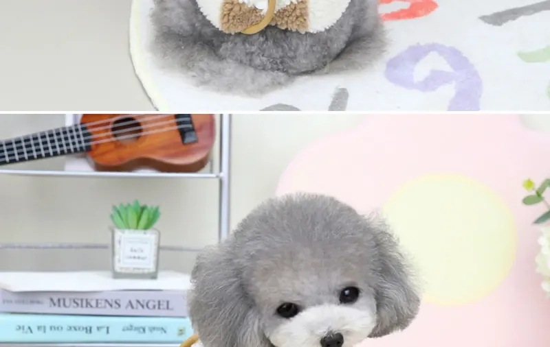 犬用のソフトフリースジャンプスーツ,子犬と子猫用のチェックウェア,コスチュームコート,ペット服,1個